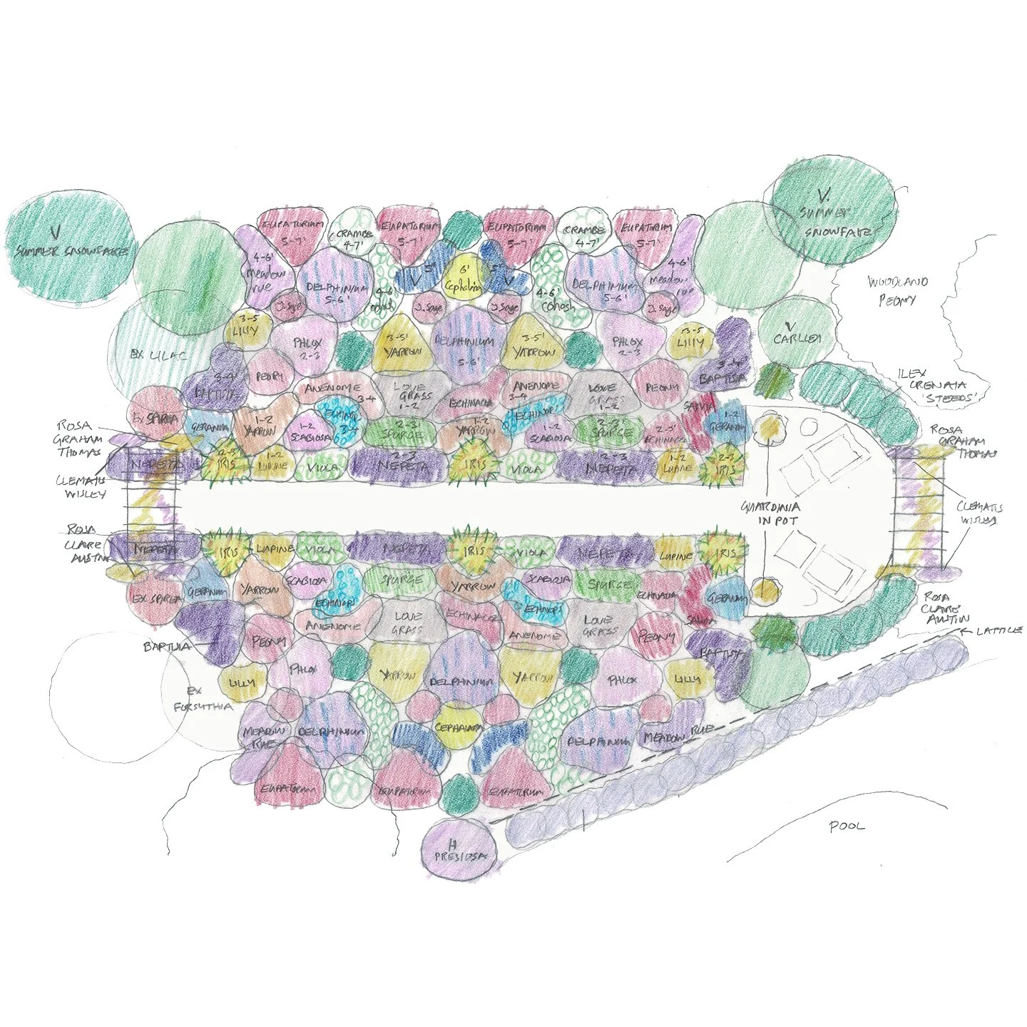 Coloured planting plan for a perennial garden, Planting Design, David Eaton Associates