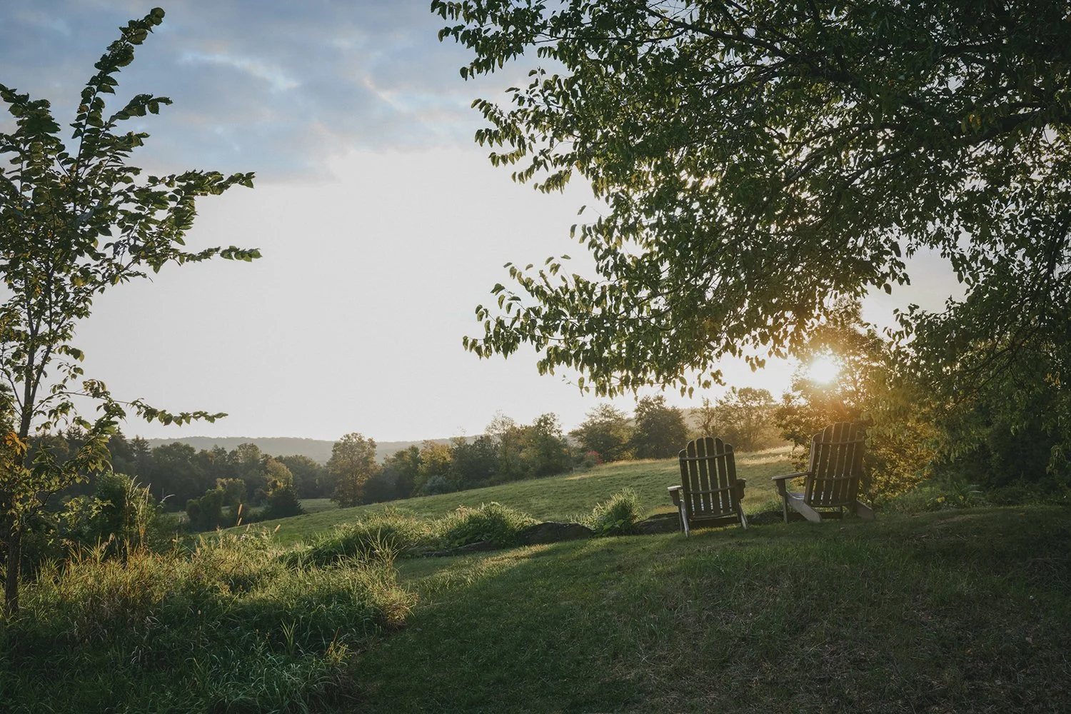 Sun setting over the rolling lawn and woodland edge, Hudson Valley Estate, Rhinebeck