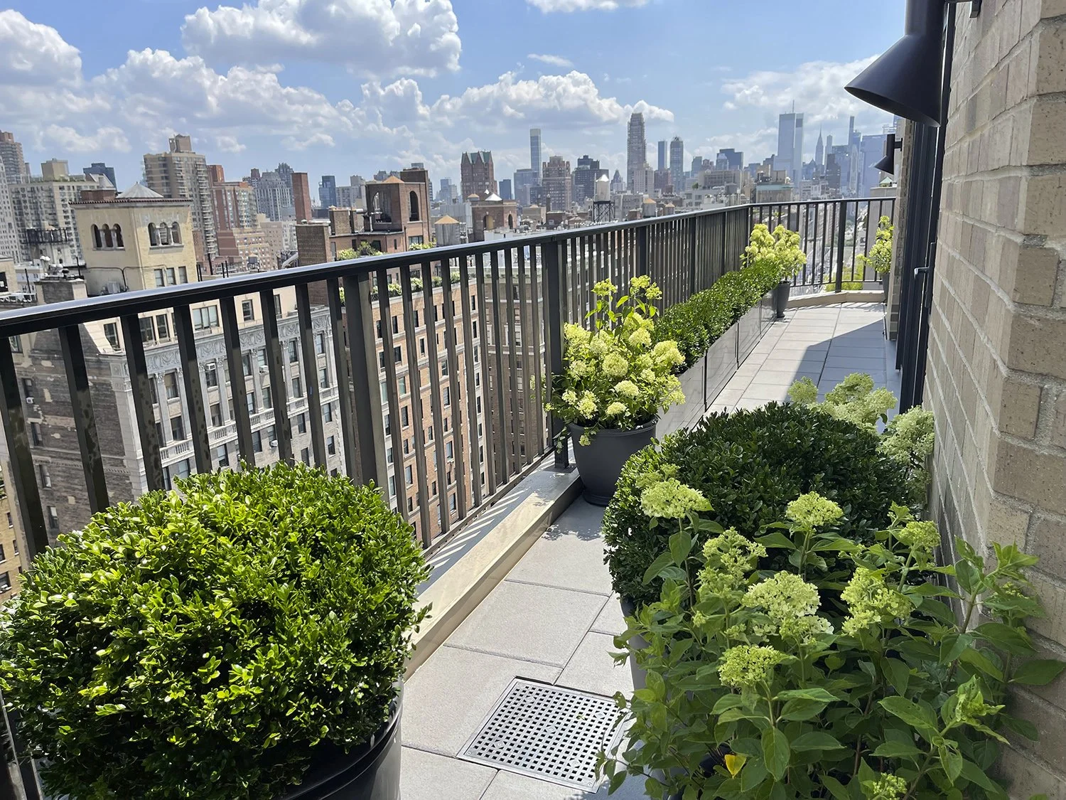 Clipped boxwood and white hydrangeas along the terrace railing with the Manhattan skyline, Park Avenue Penthouse