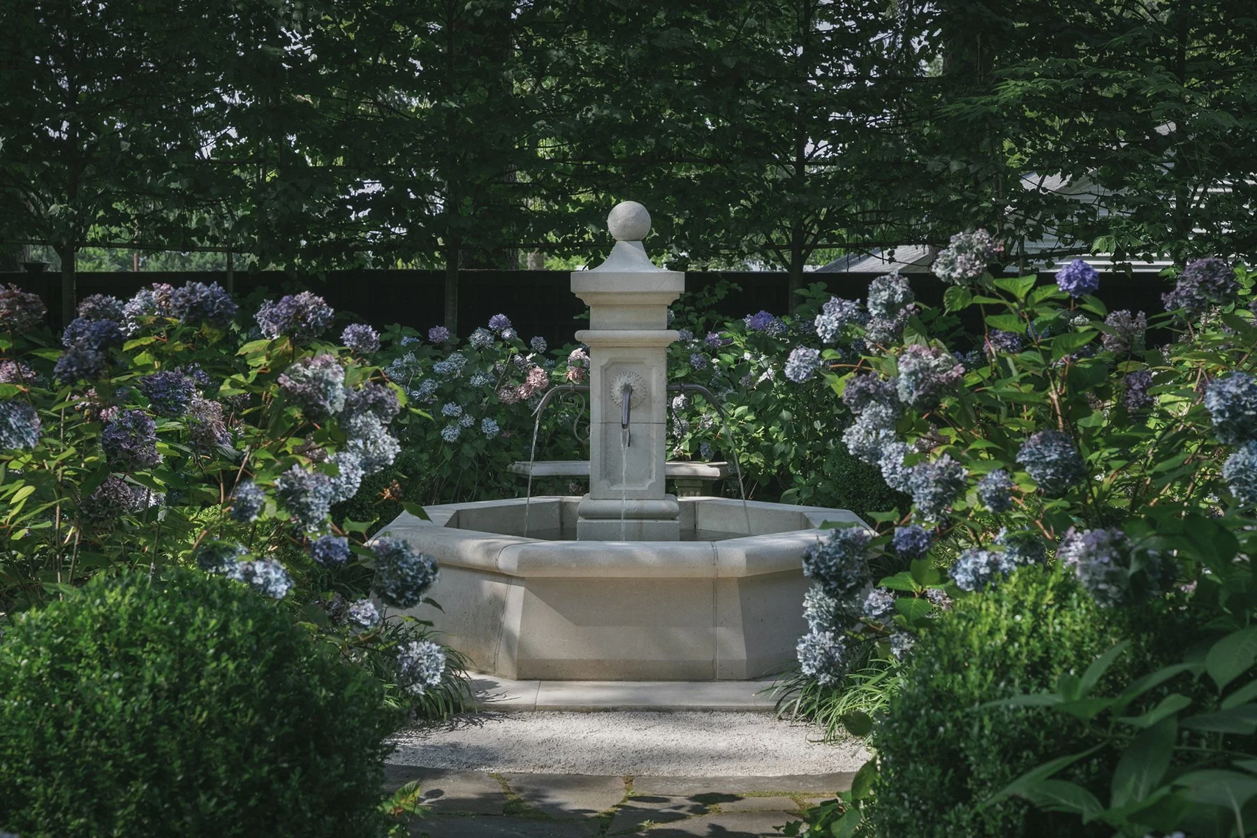 Antique stone fountain among hydrangeas, Historic Garden, Shrewsbury NJ
