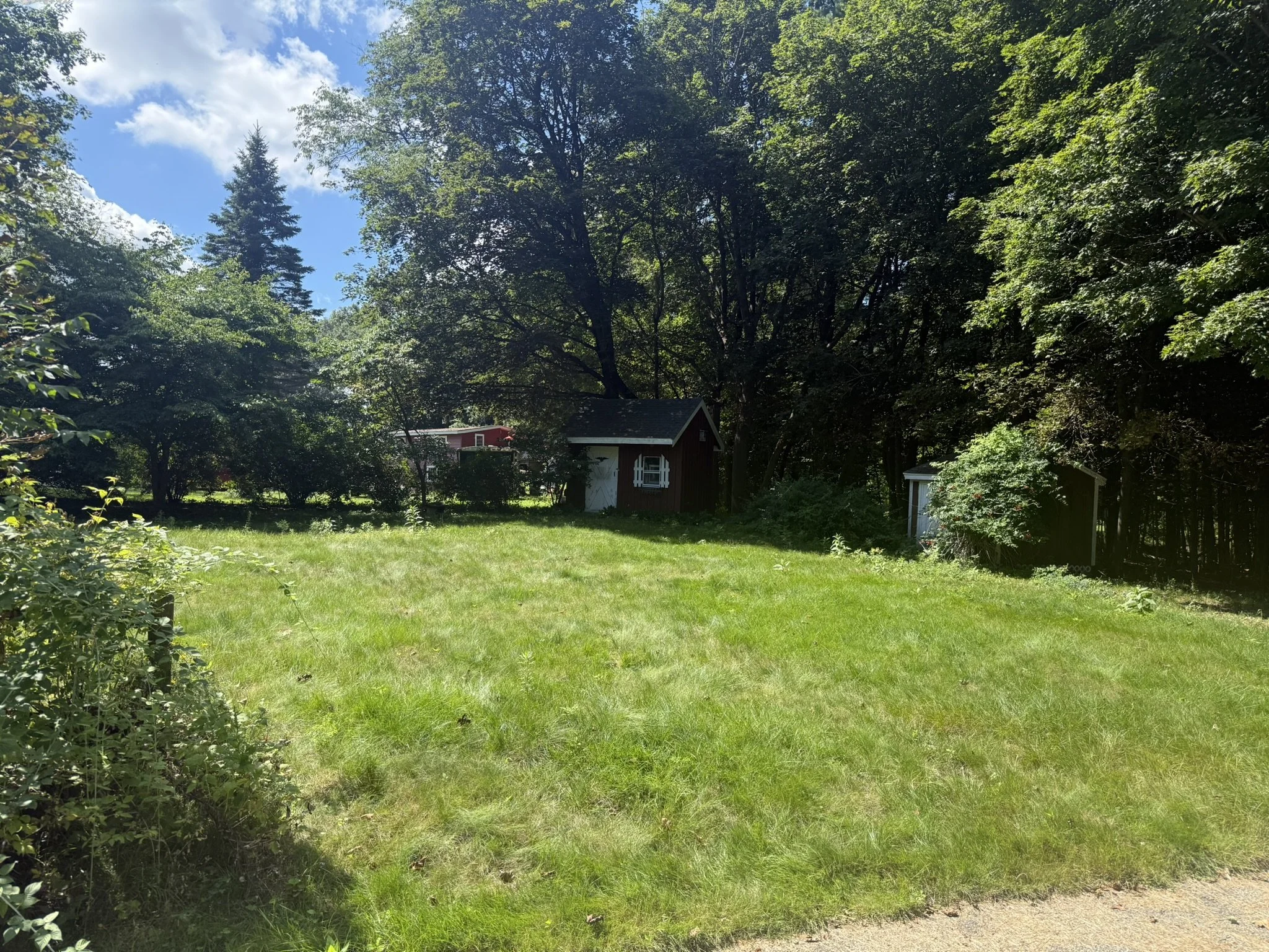 BEFORE — Yard at 1 Pond Street