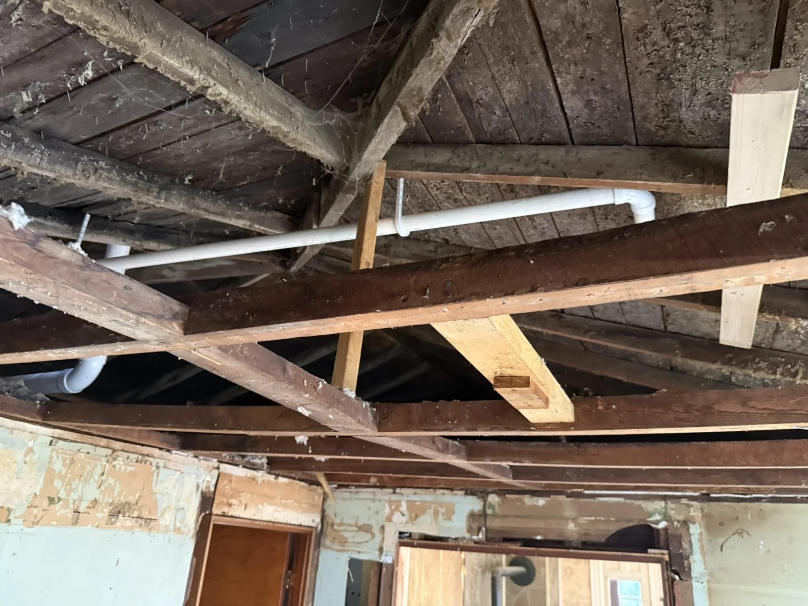 PROGRESS — Exposed ceiling framing and pipework — September 21, 2026