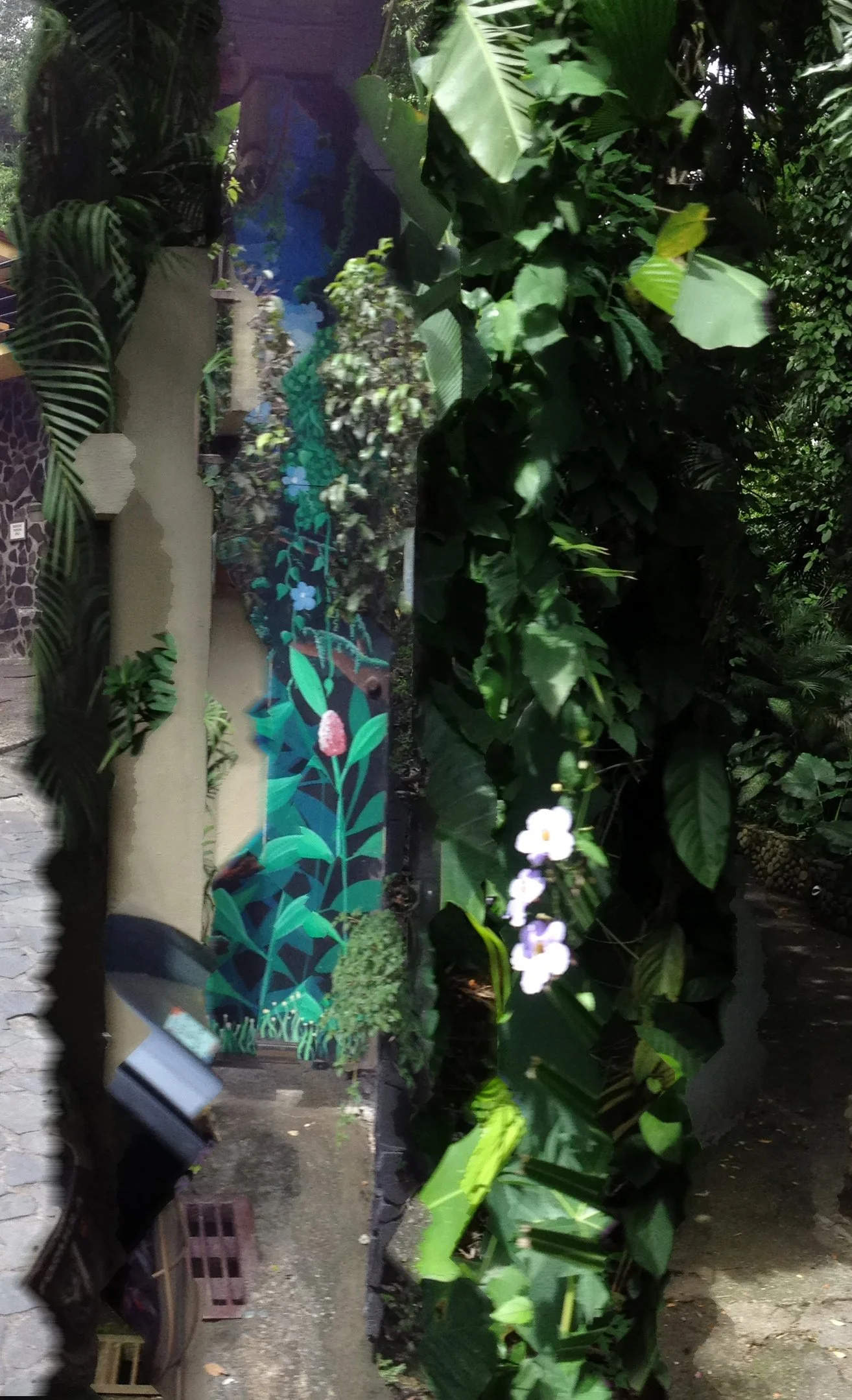 Tropical Fact & Fiction
