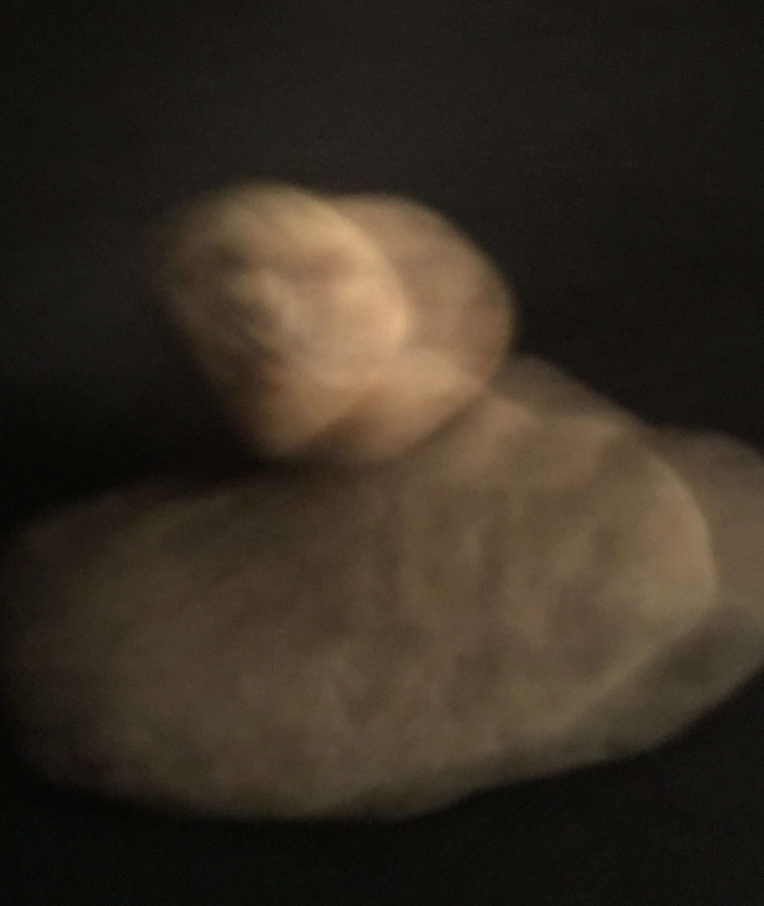 Stone Spirit