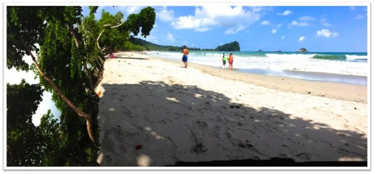Beach Cliff