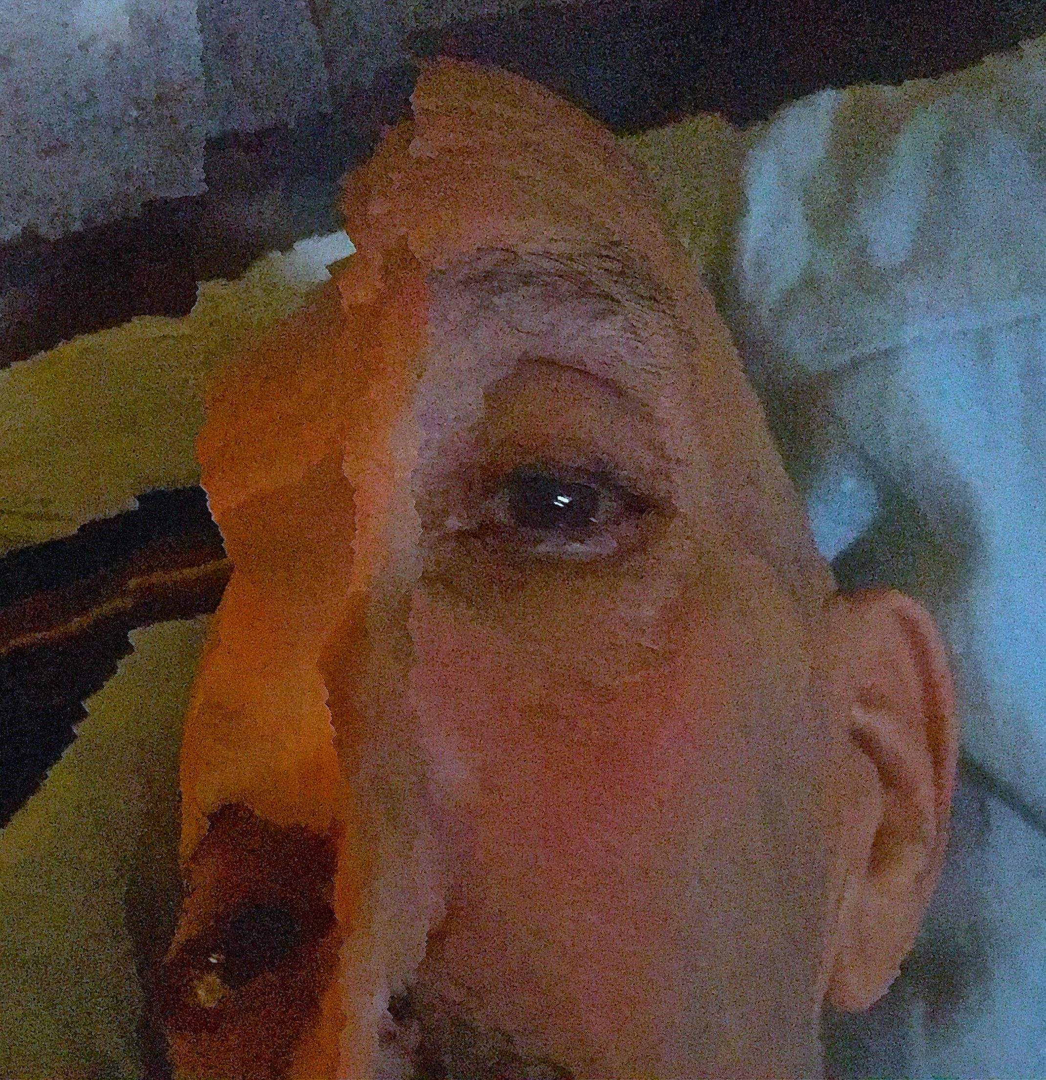 Observing Eye