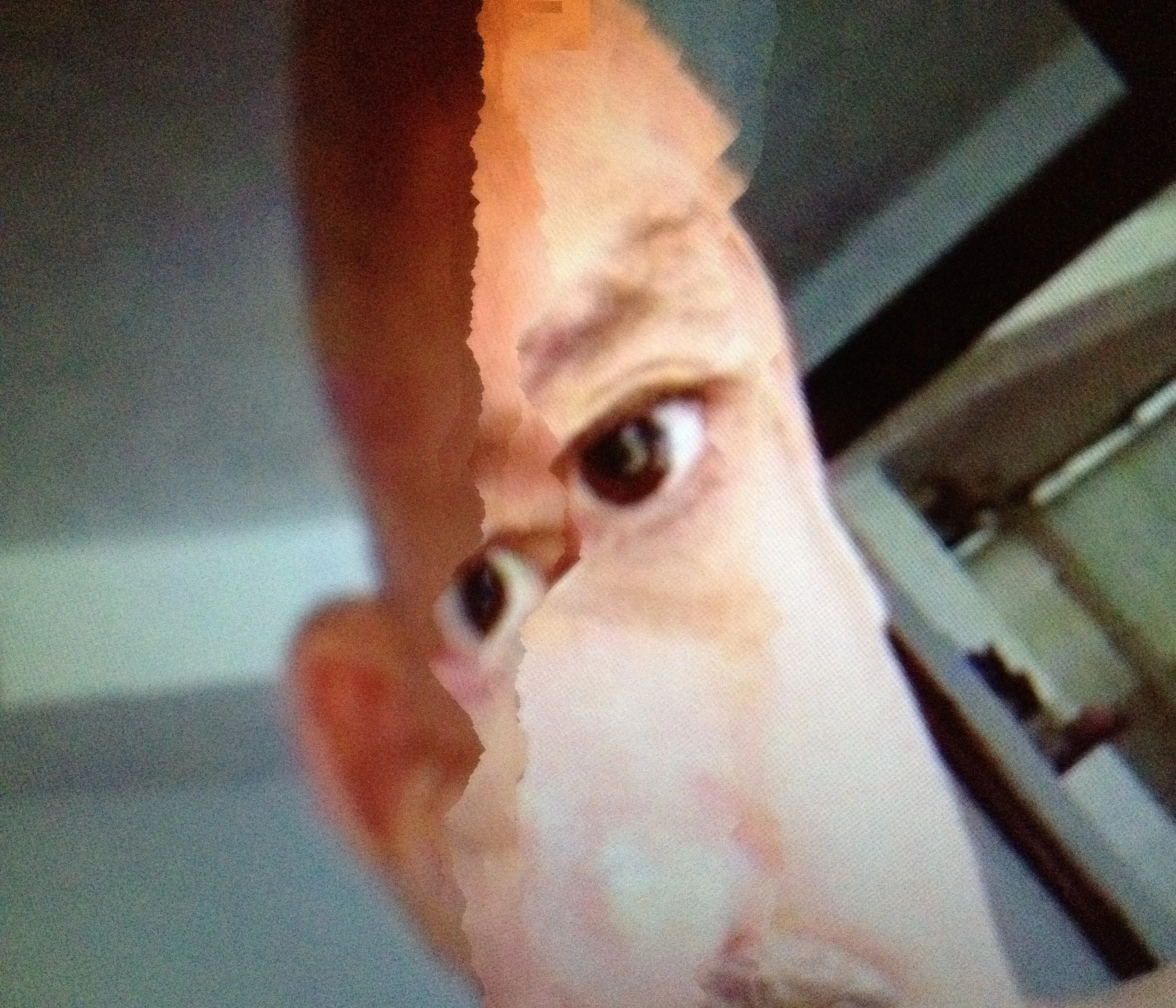 Self Portrait 2015