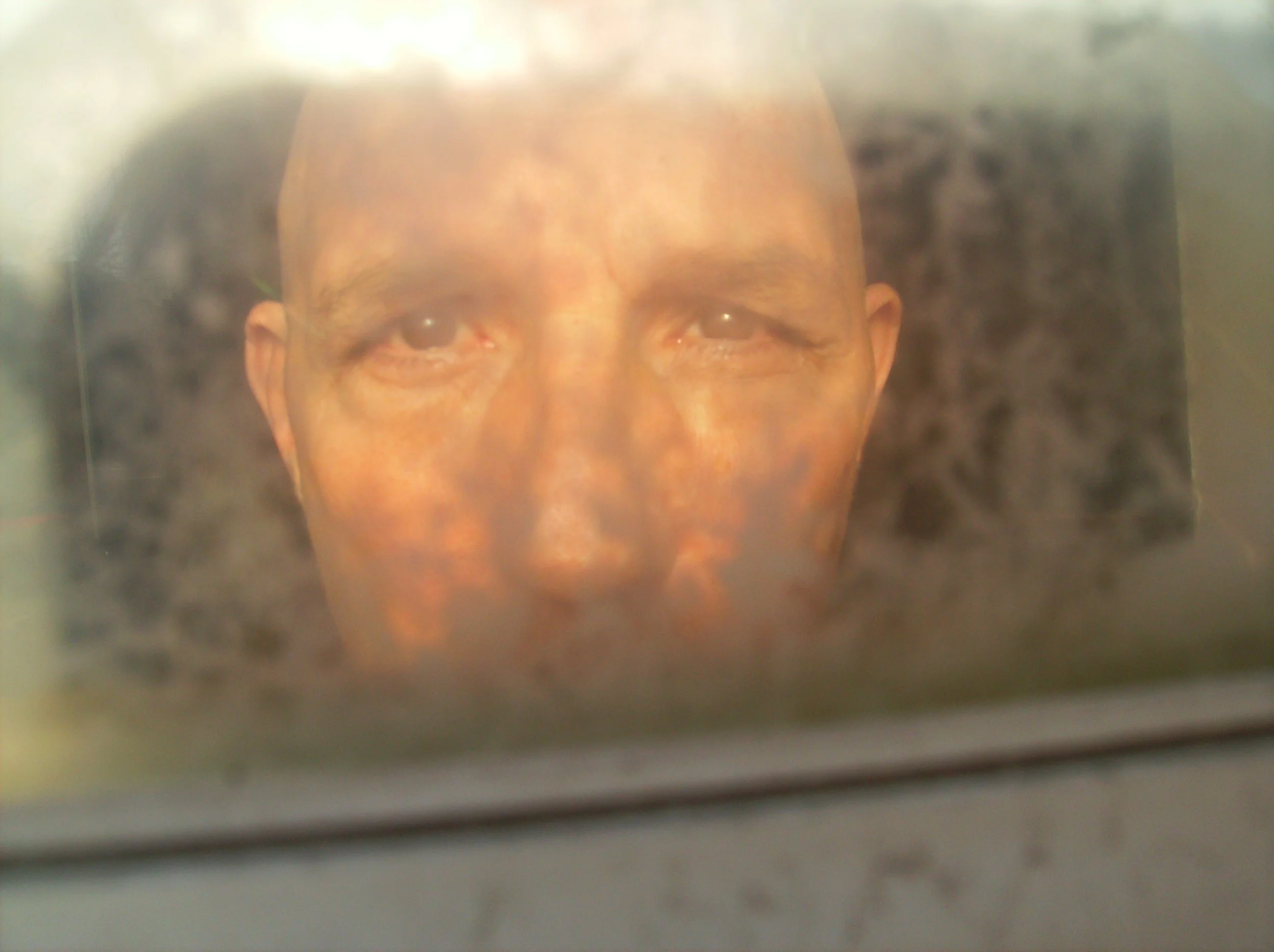 Self Portrait Looking In