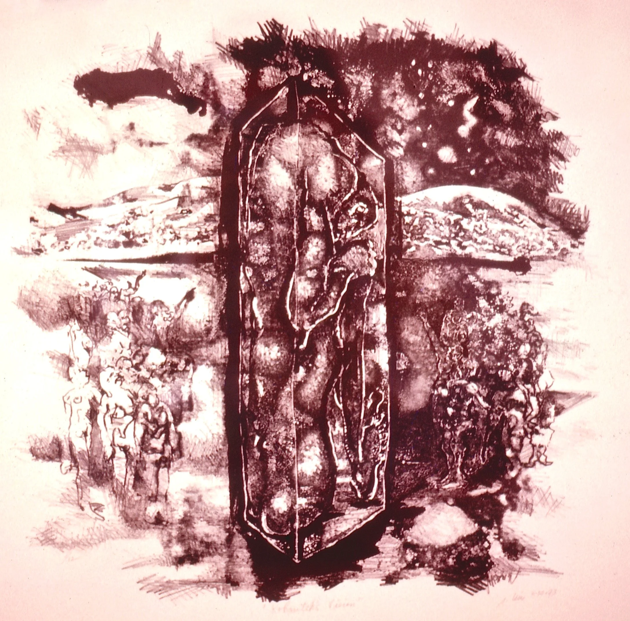 Kohoutek's Vision