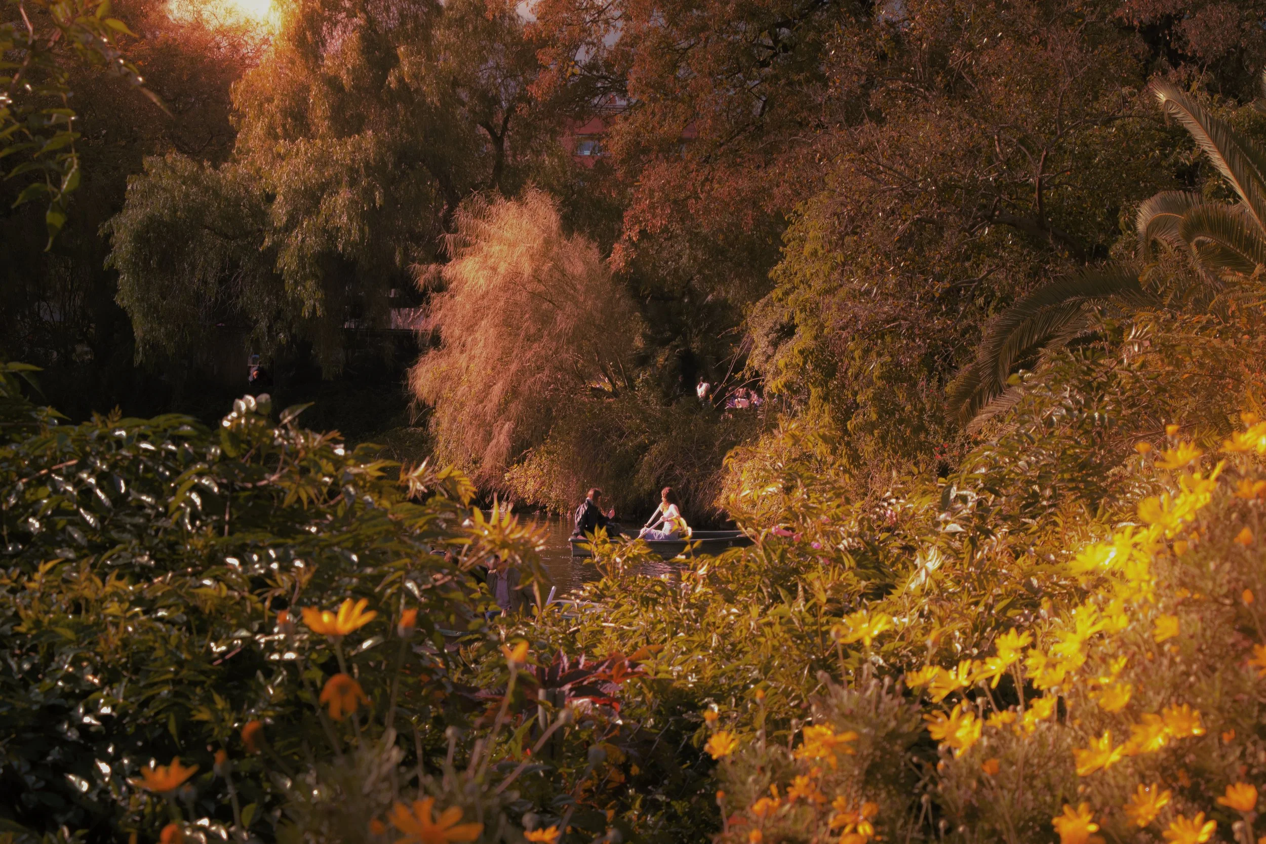People boating on a river surrounded by dense trees with fall foliage, bathed in warm sunset light.