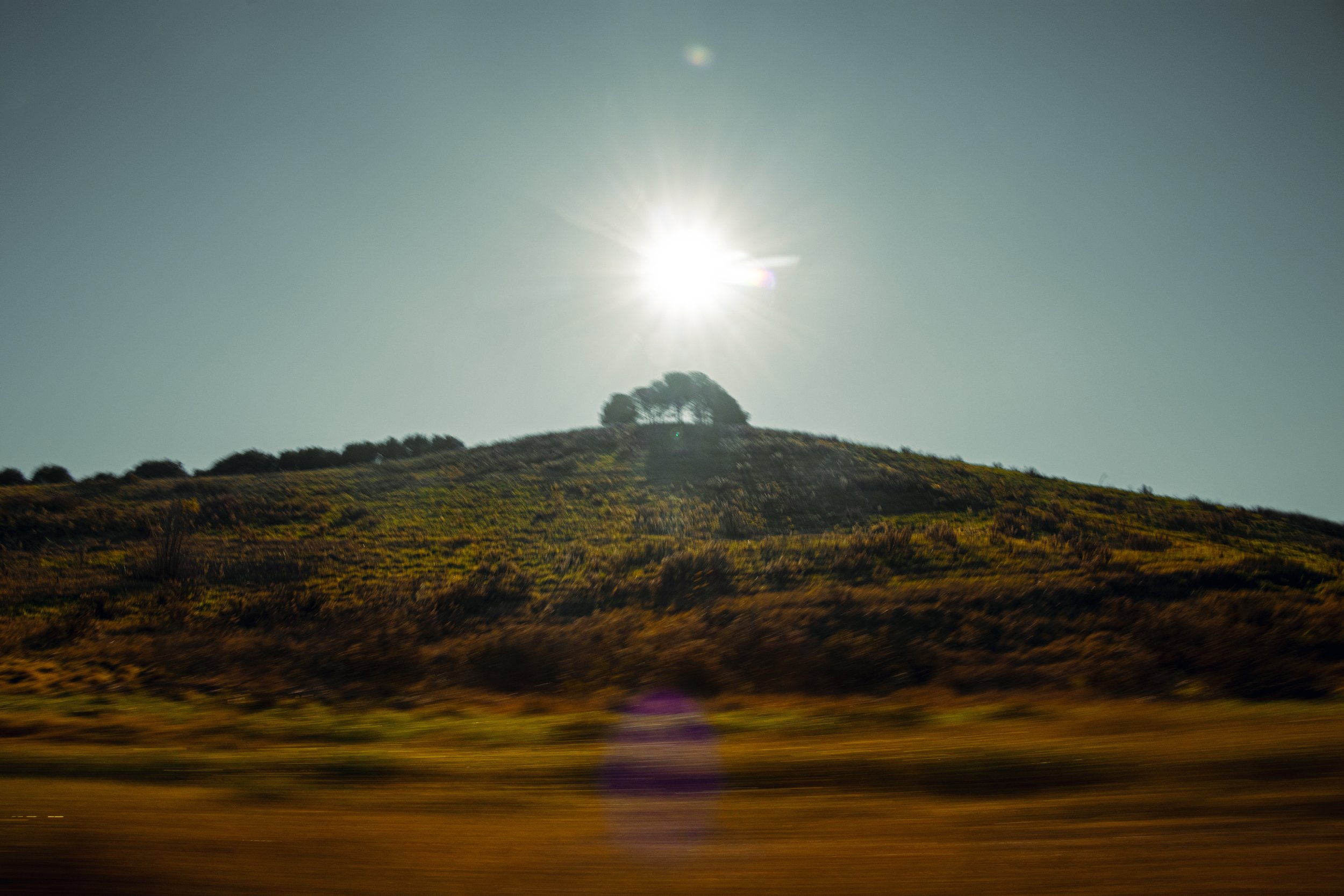 Sunlight shines over a hill with scattered trees, as seen from a moving vehicle on a highway.