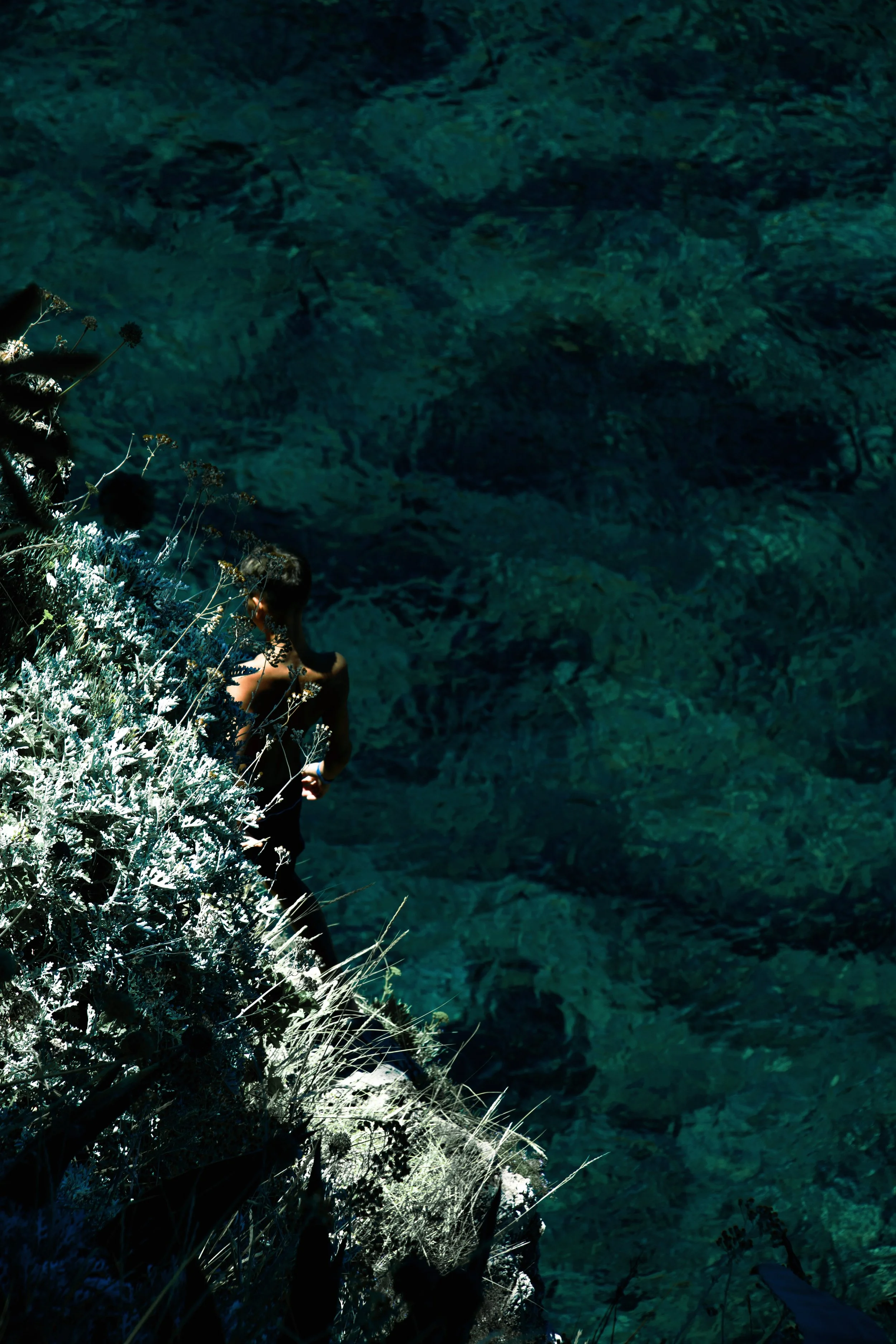 A person with long hair sitting on a rocky ledge near plants with a body of water in the background.