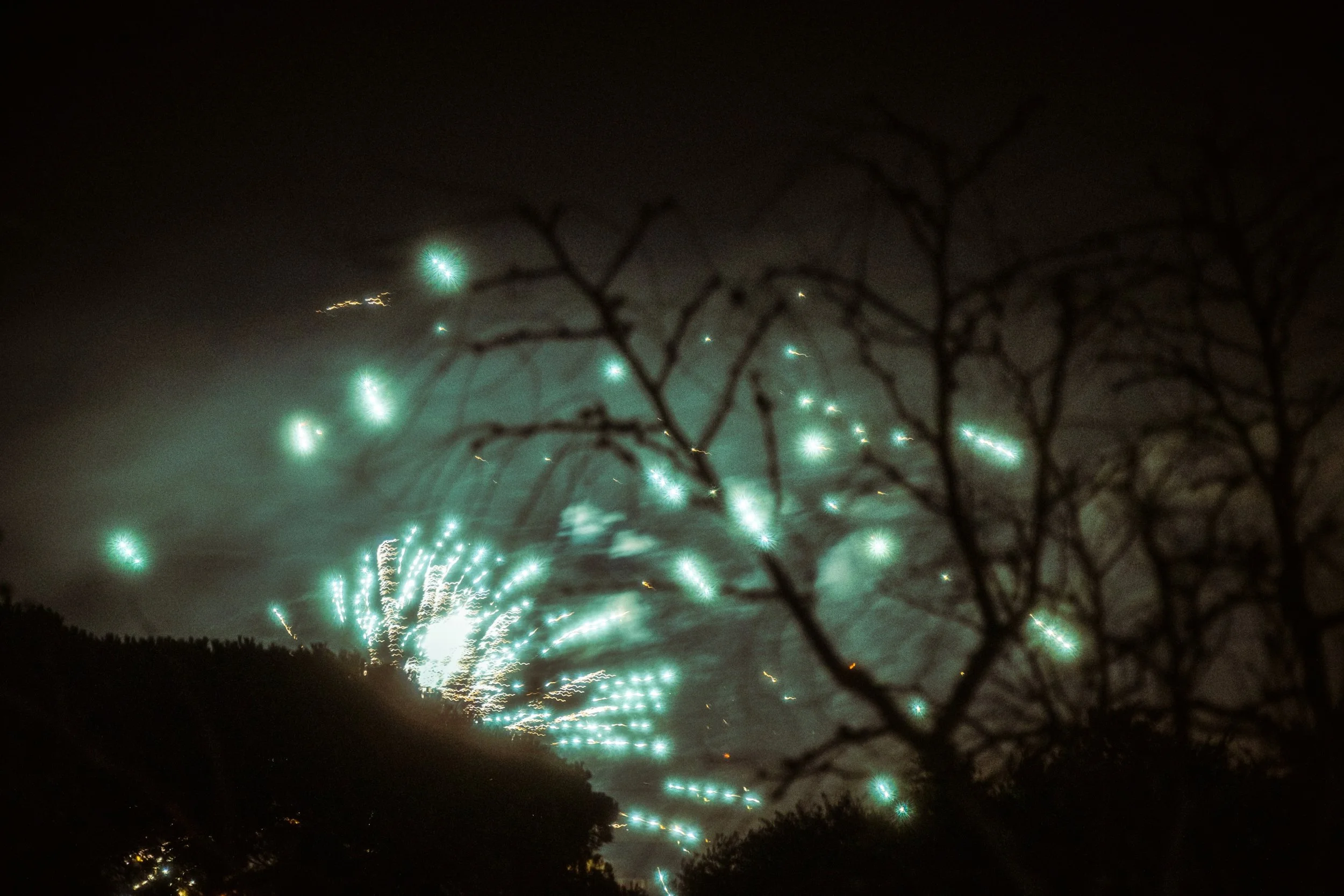 Night sky with fireworks and visible silhouette of tree branches in the foreground.