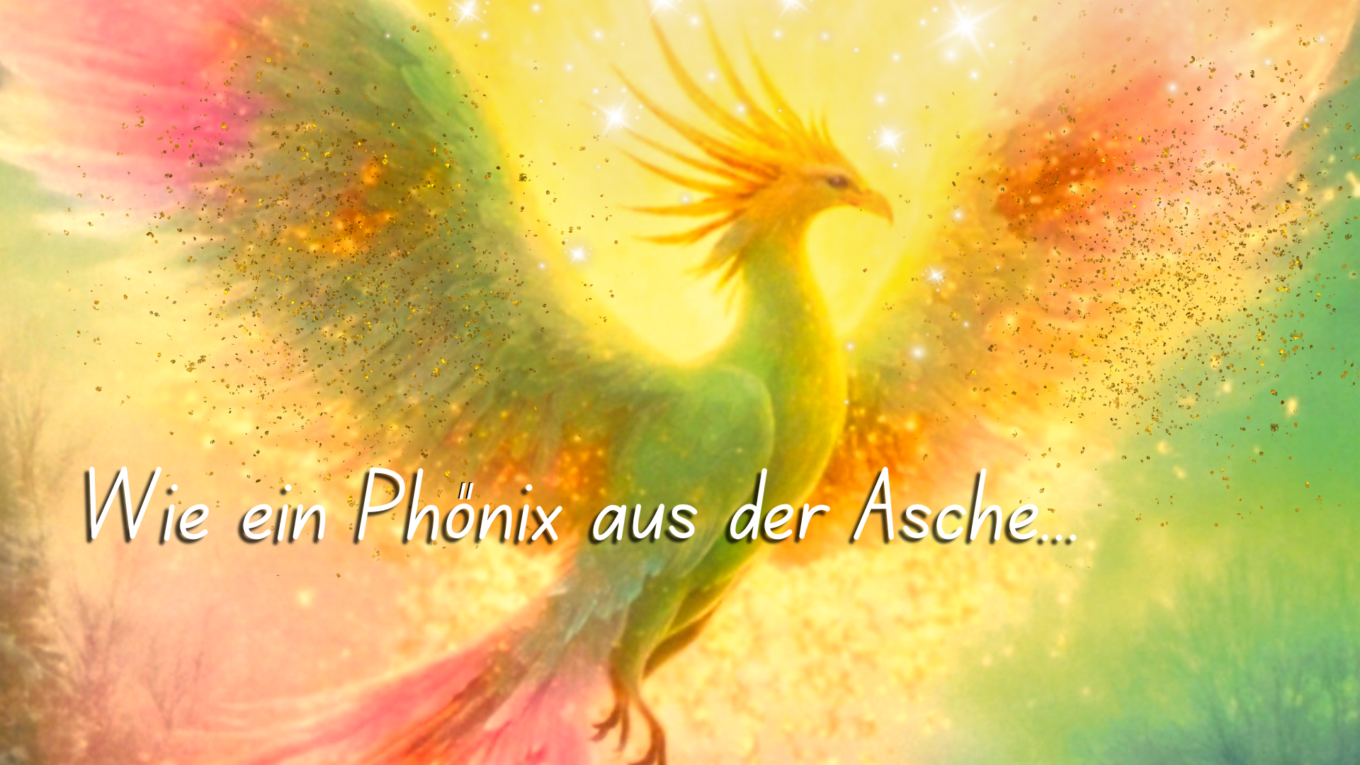 Wie ein Phönix aus der Asche