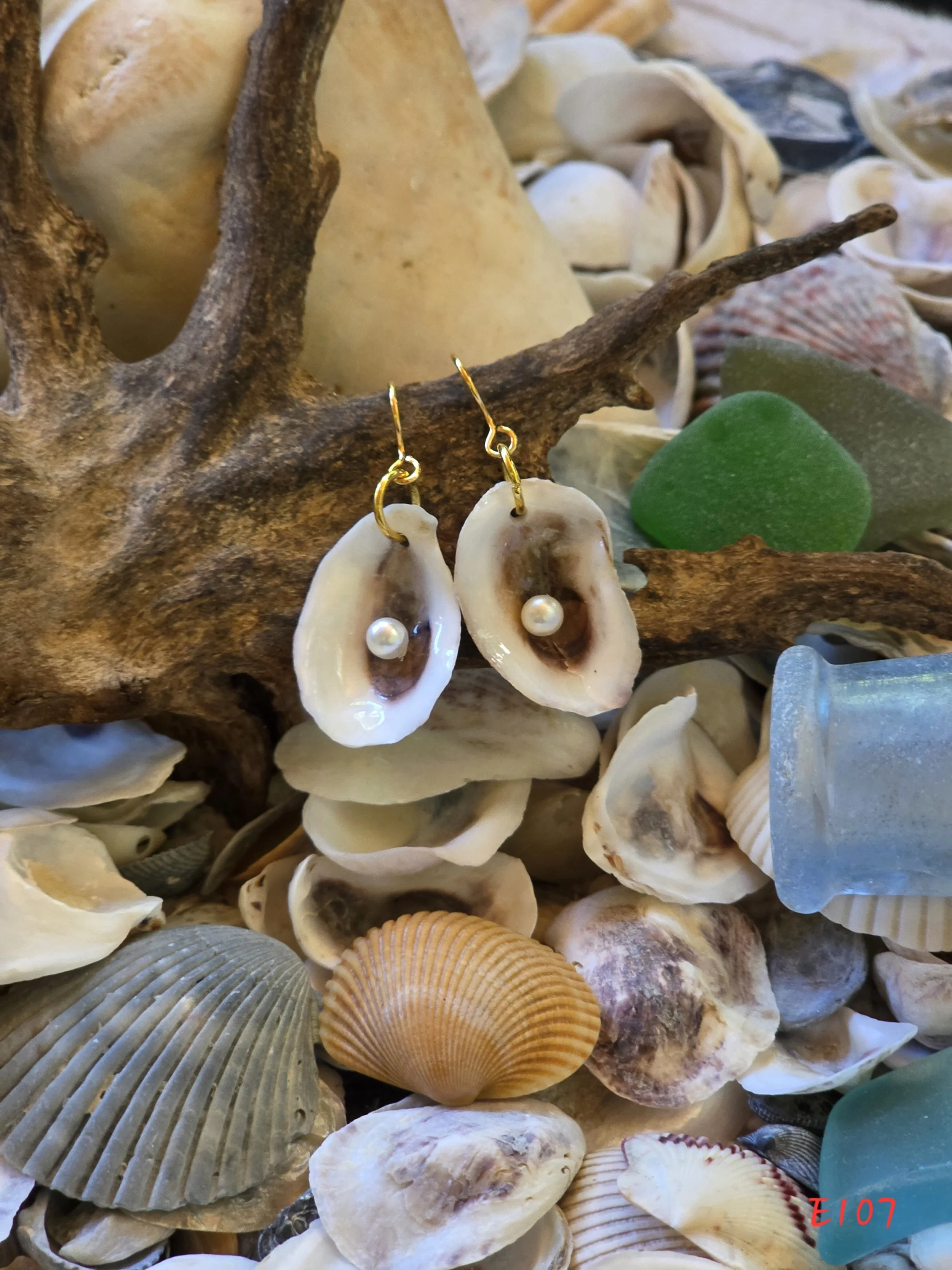 Natural Oyster Shell Earrings