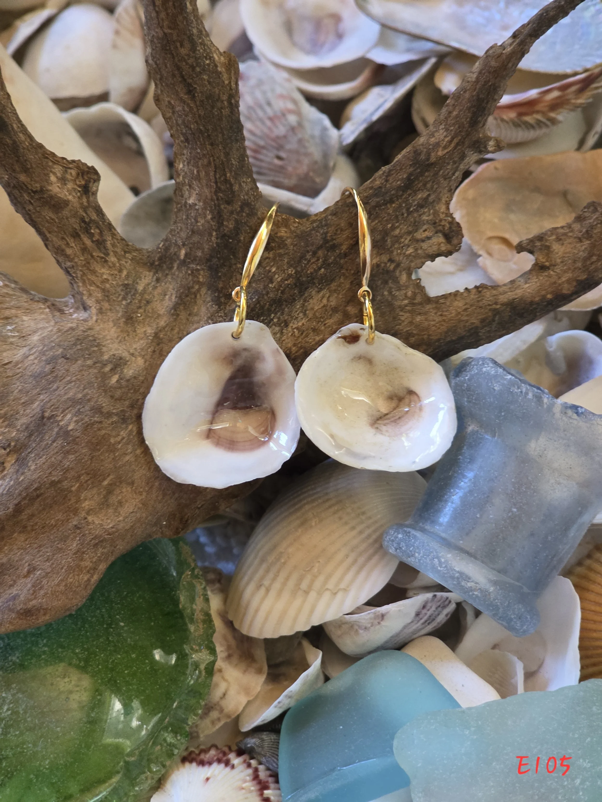 Natural Oyster Shell Earrings