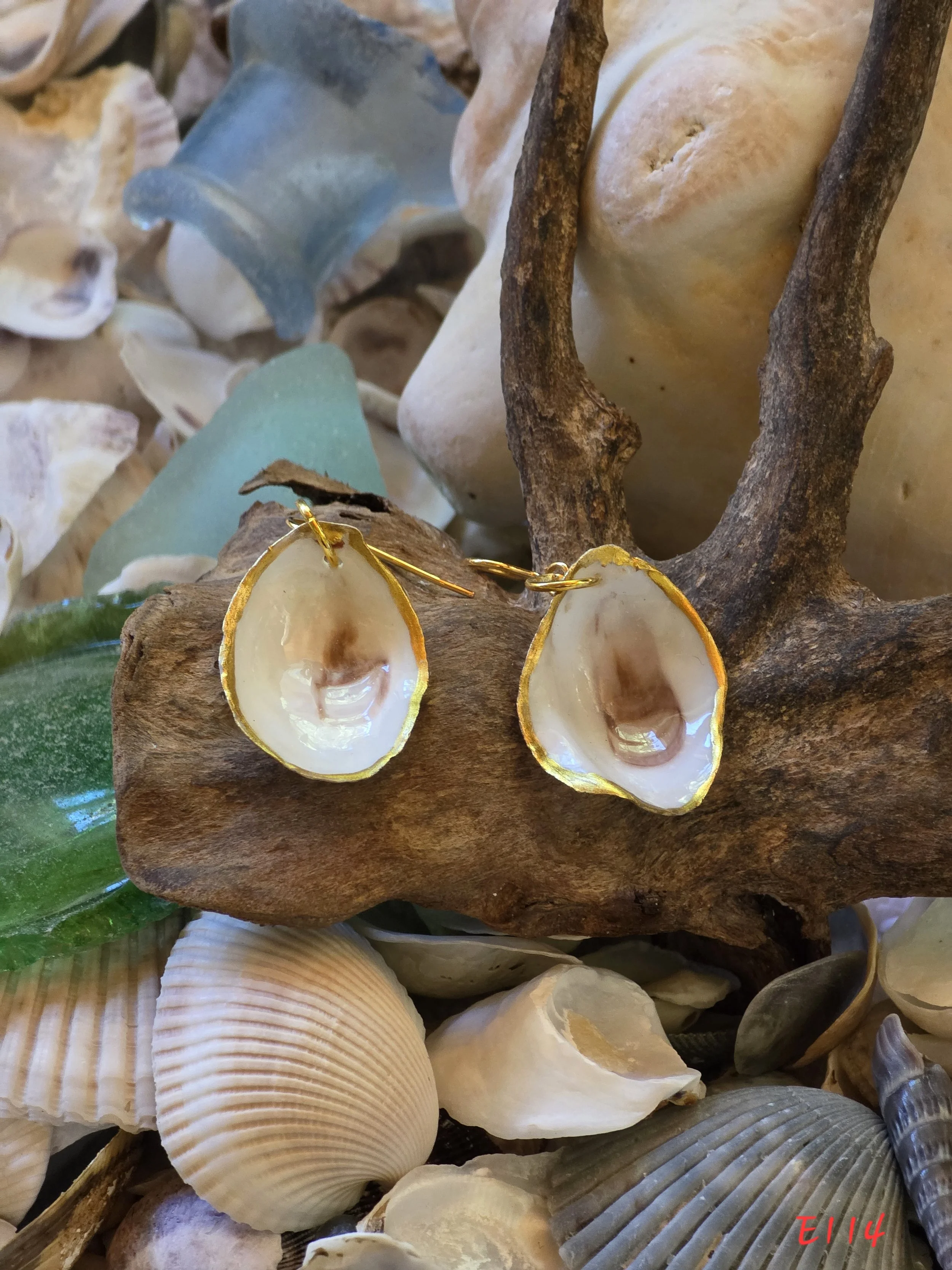 Natural Oyster Shell Earrings