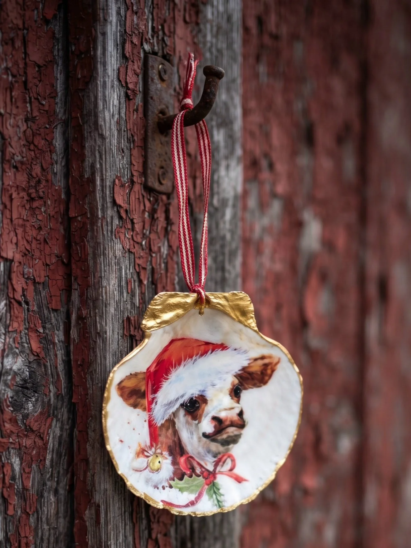 Santa Hat Cow Scallop Shell Ornament