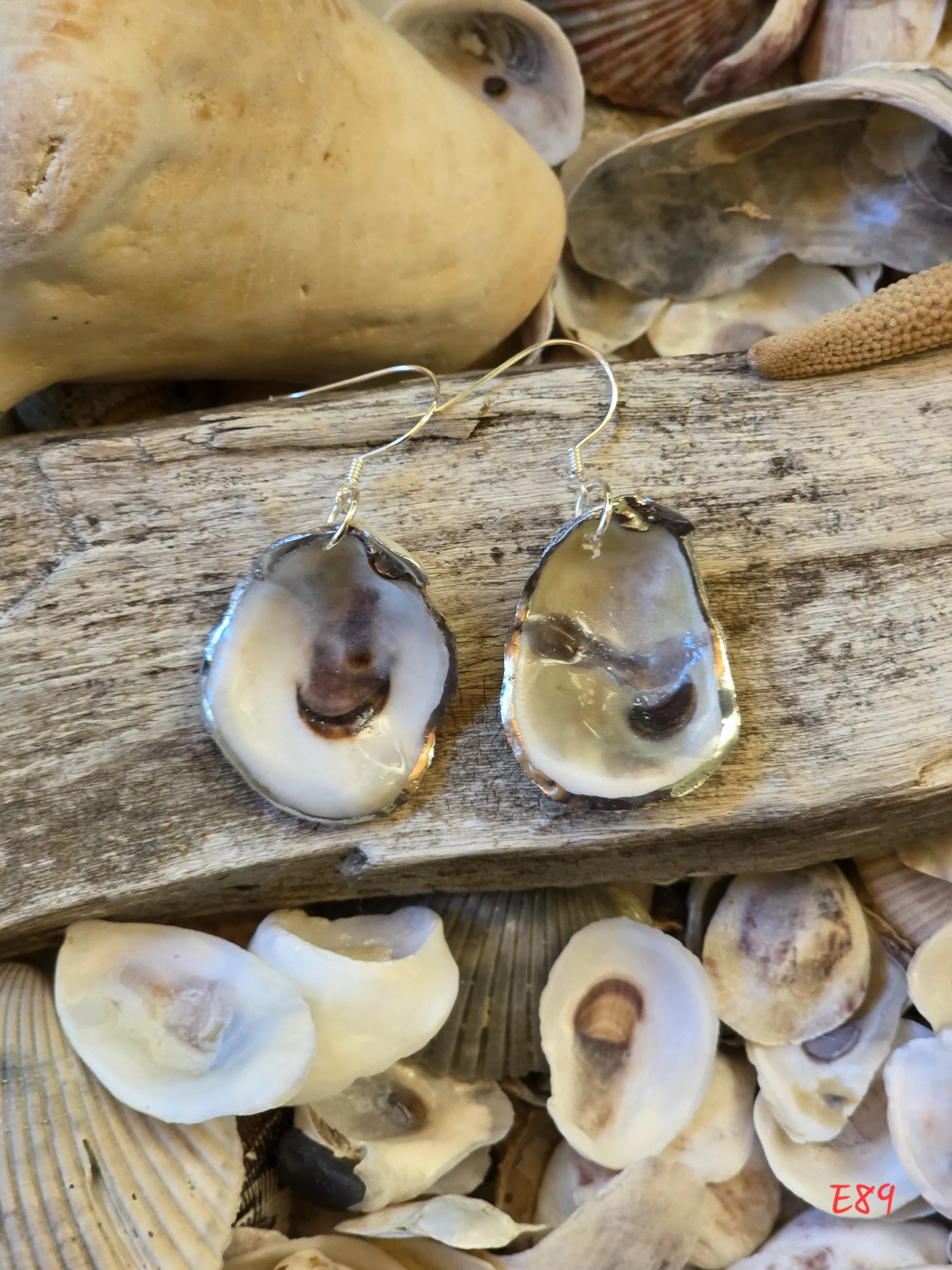 Natural Oyster Shell Earrings