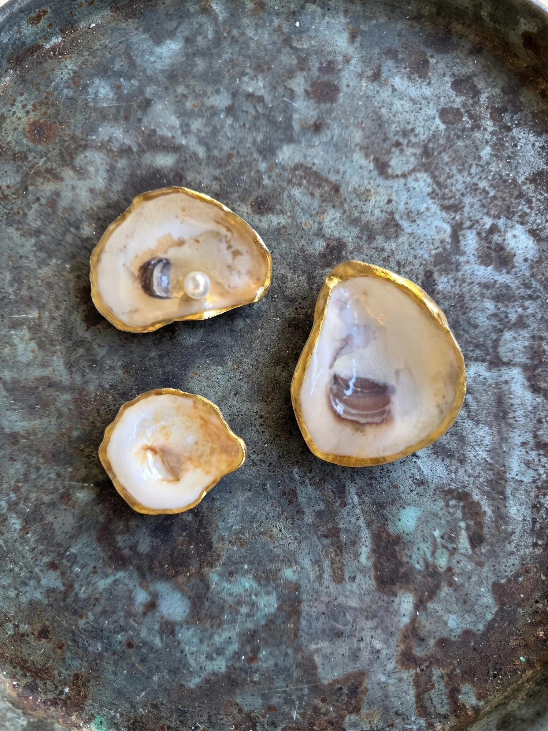 Set of 3 Natural Oyster Shell Magnets