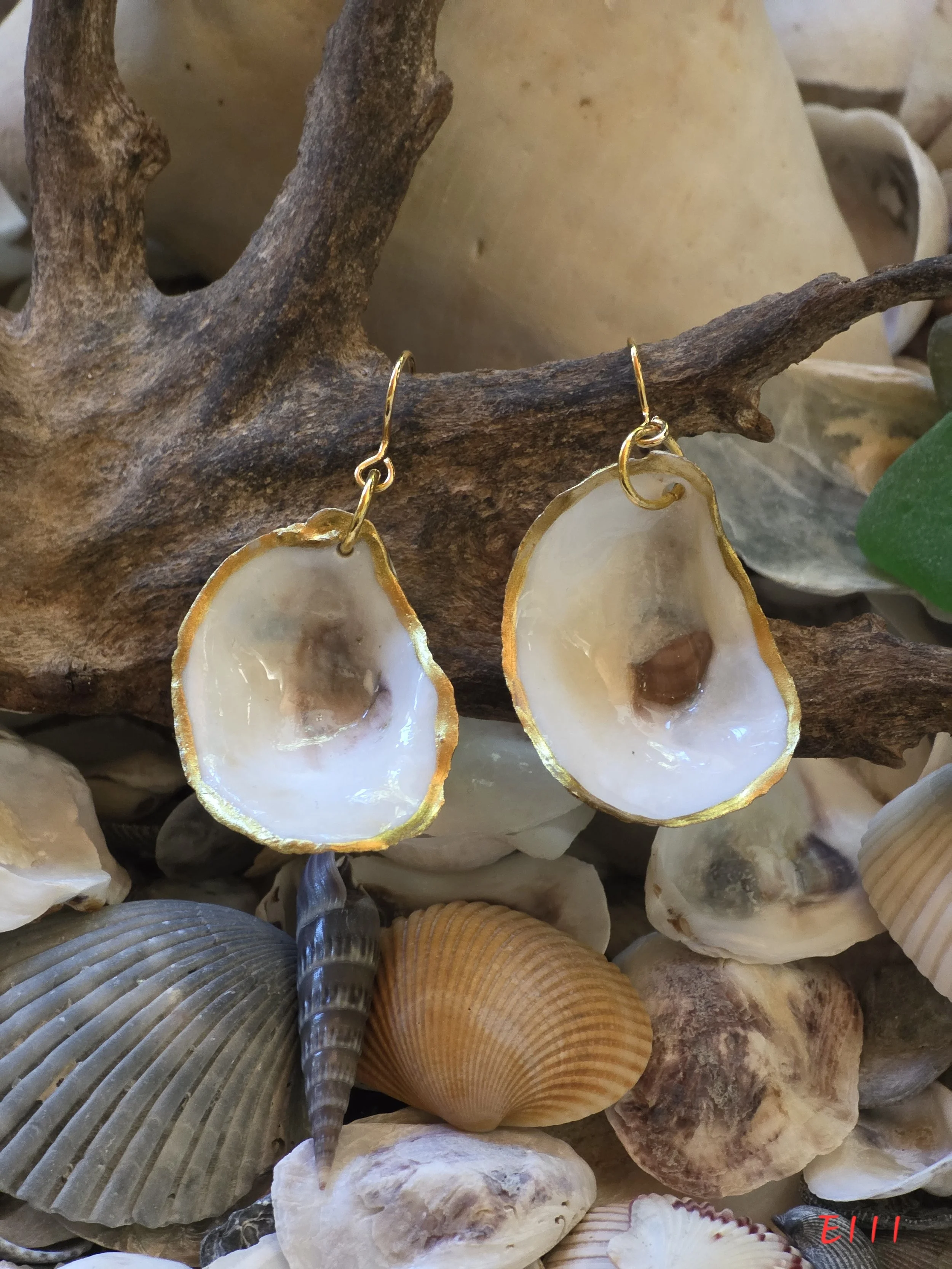 Natural Oyster Shell Earrings