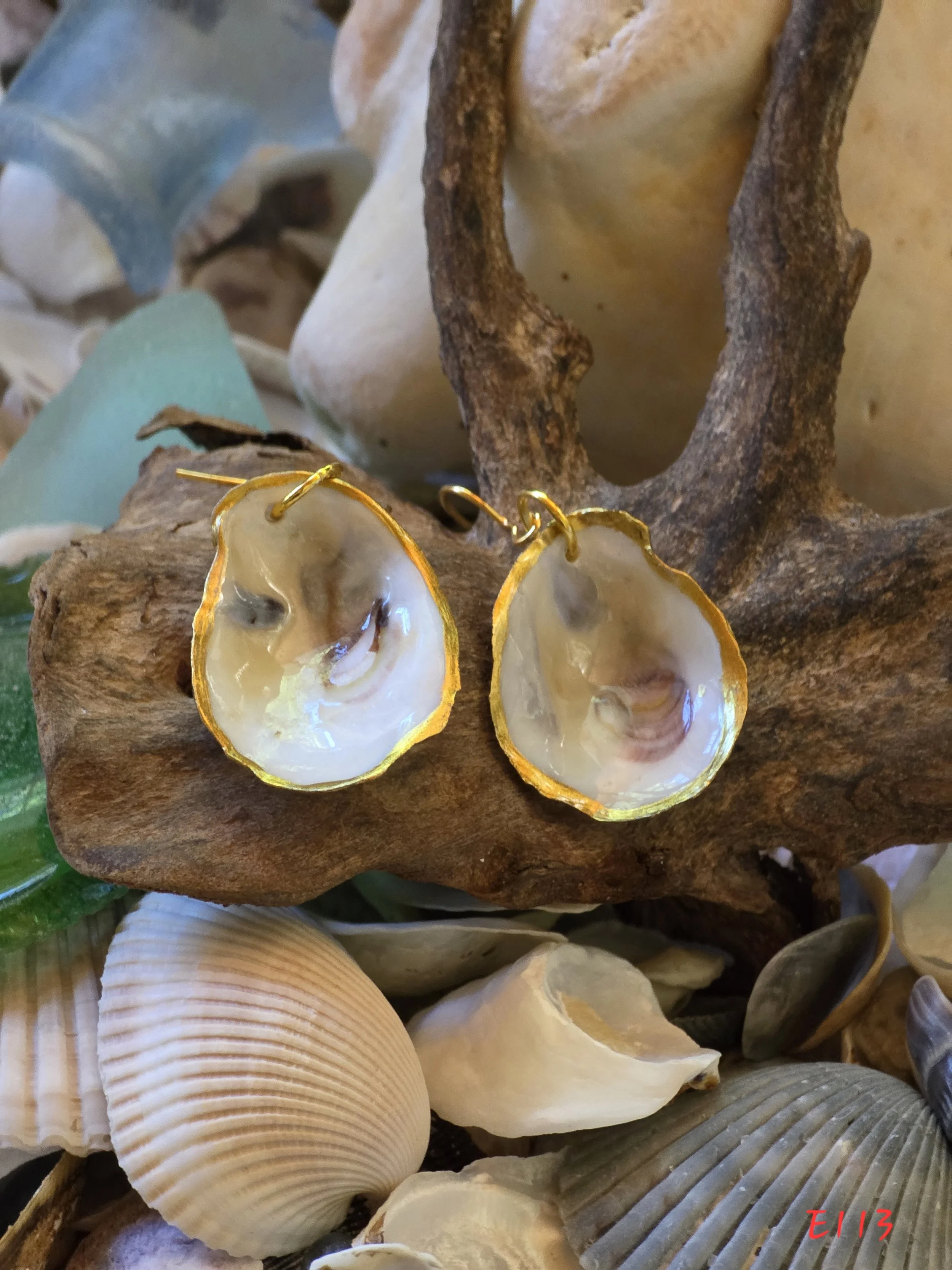 Natural Oyster Shell Earrings