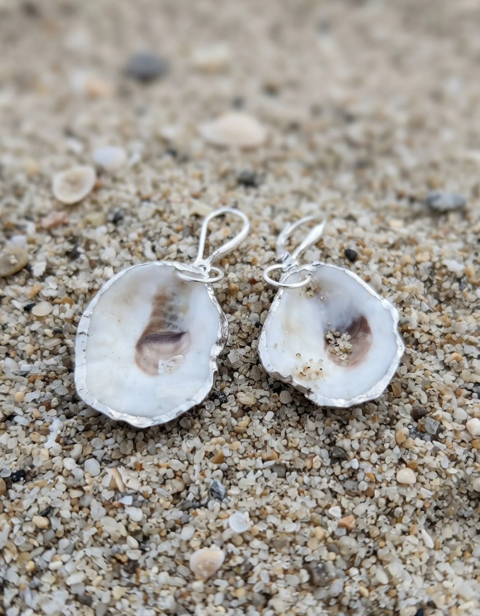 Natural Oyster Shell Earrings