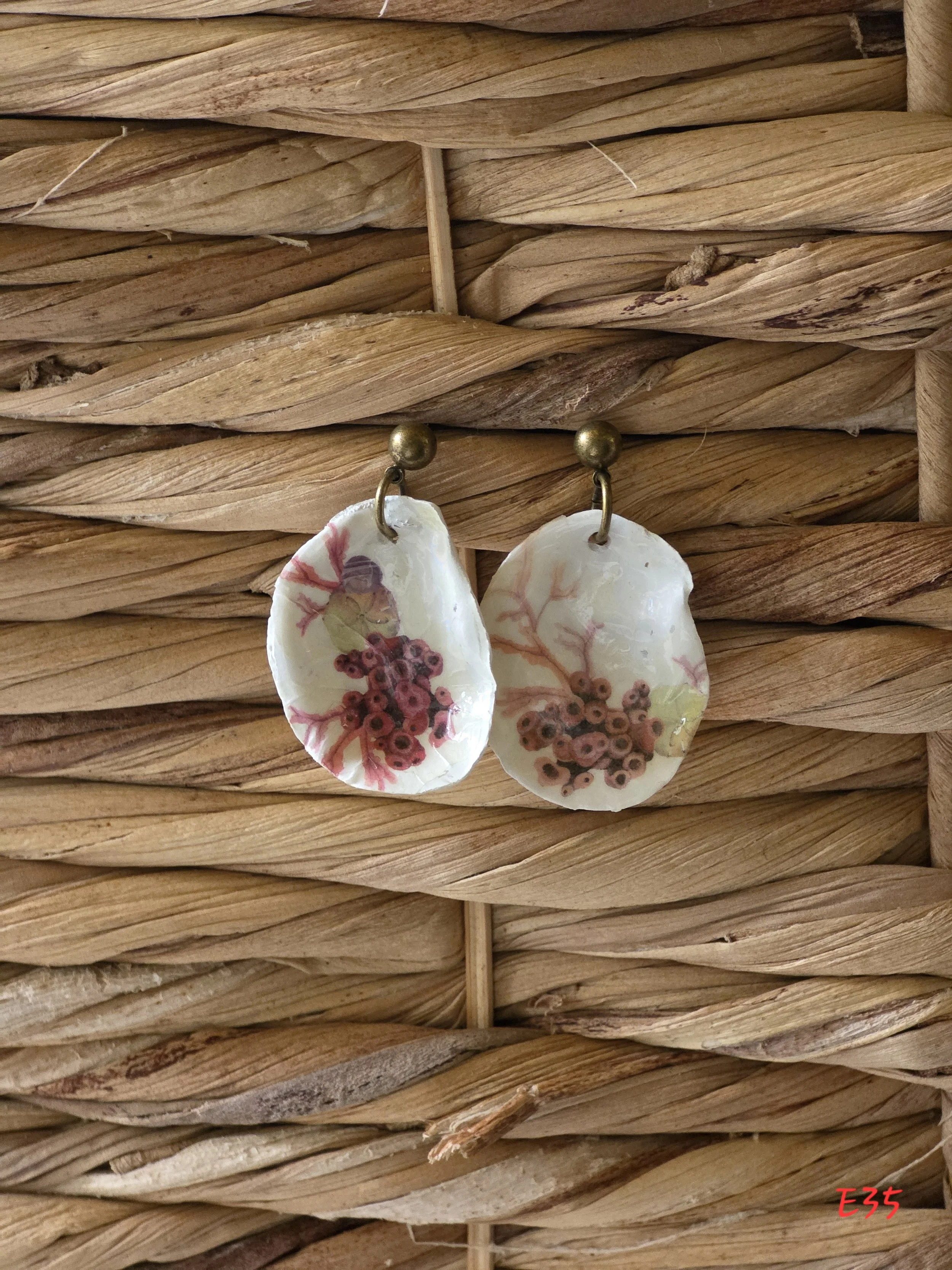 Coral Reef Oyster Shell Earrings