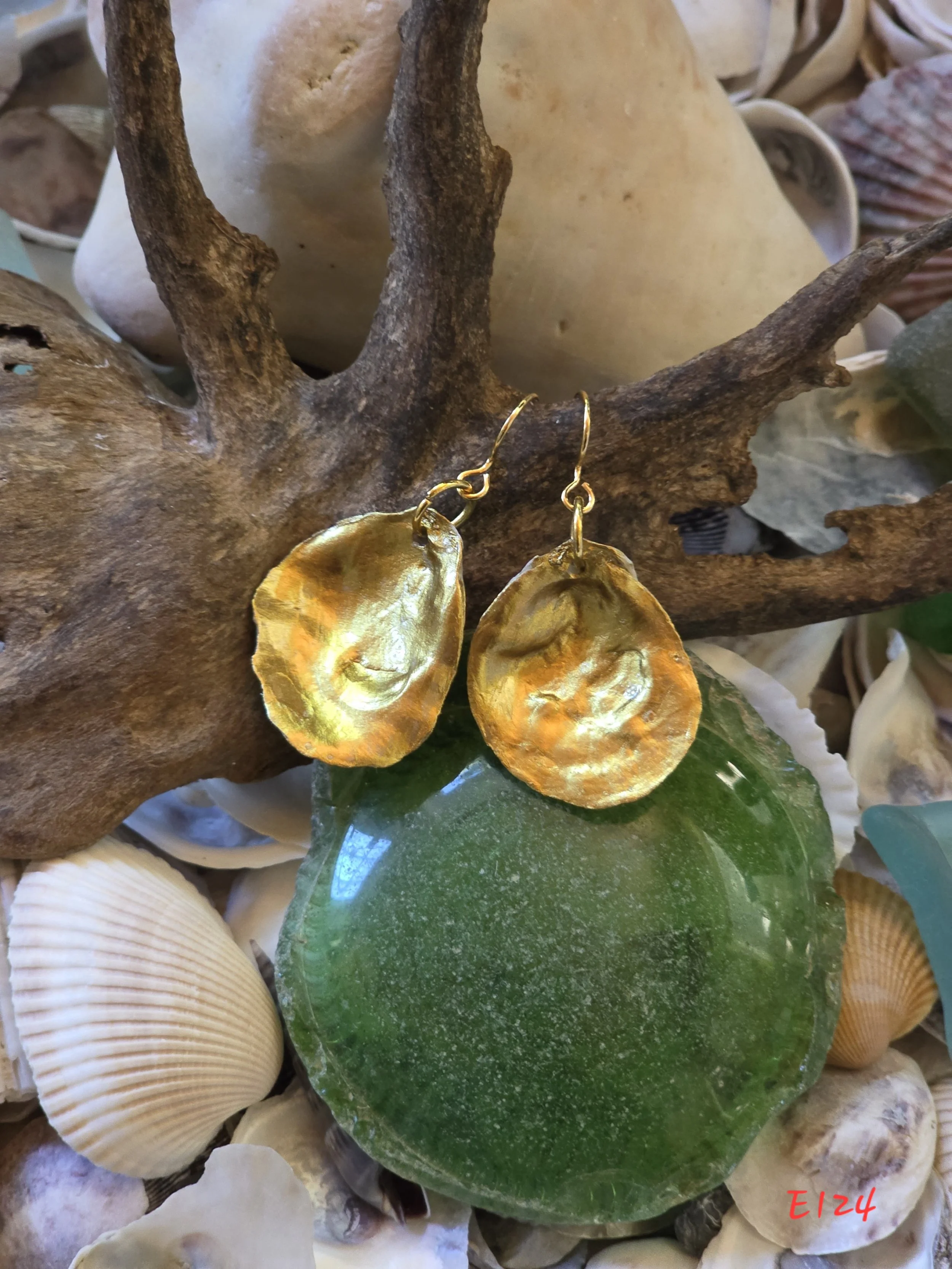 Gold Oyster Shell Earrings