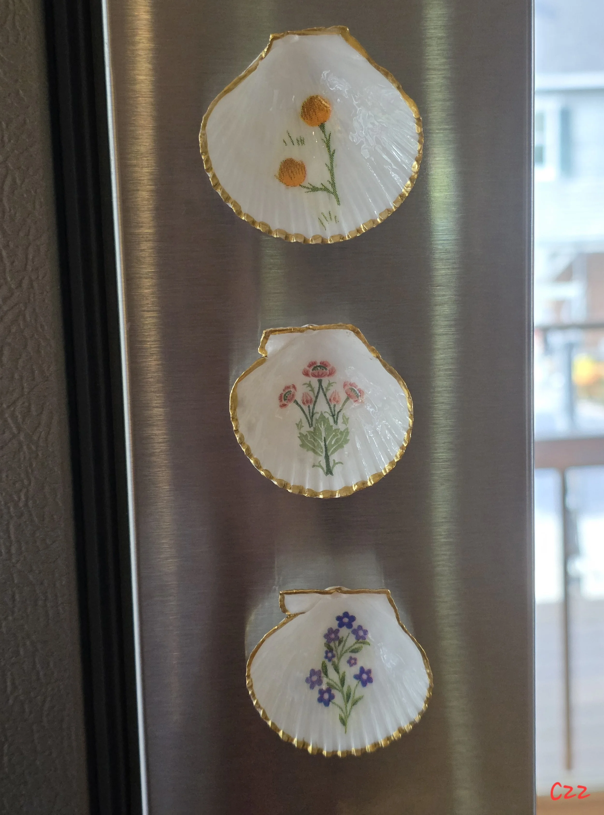 Botanical Scallop Magnet Set