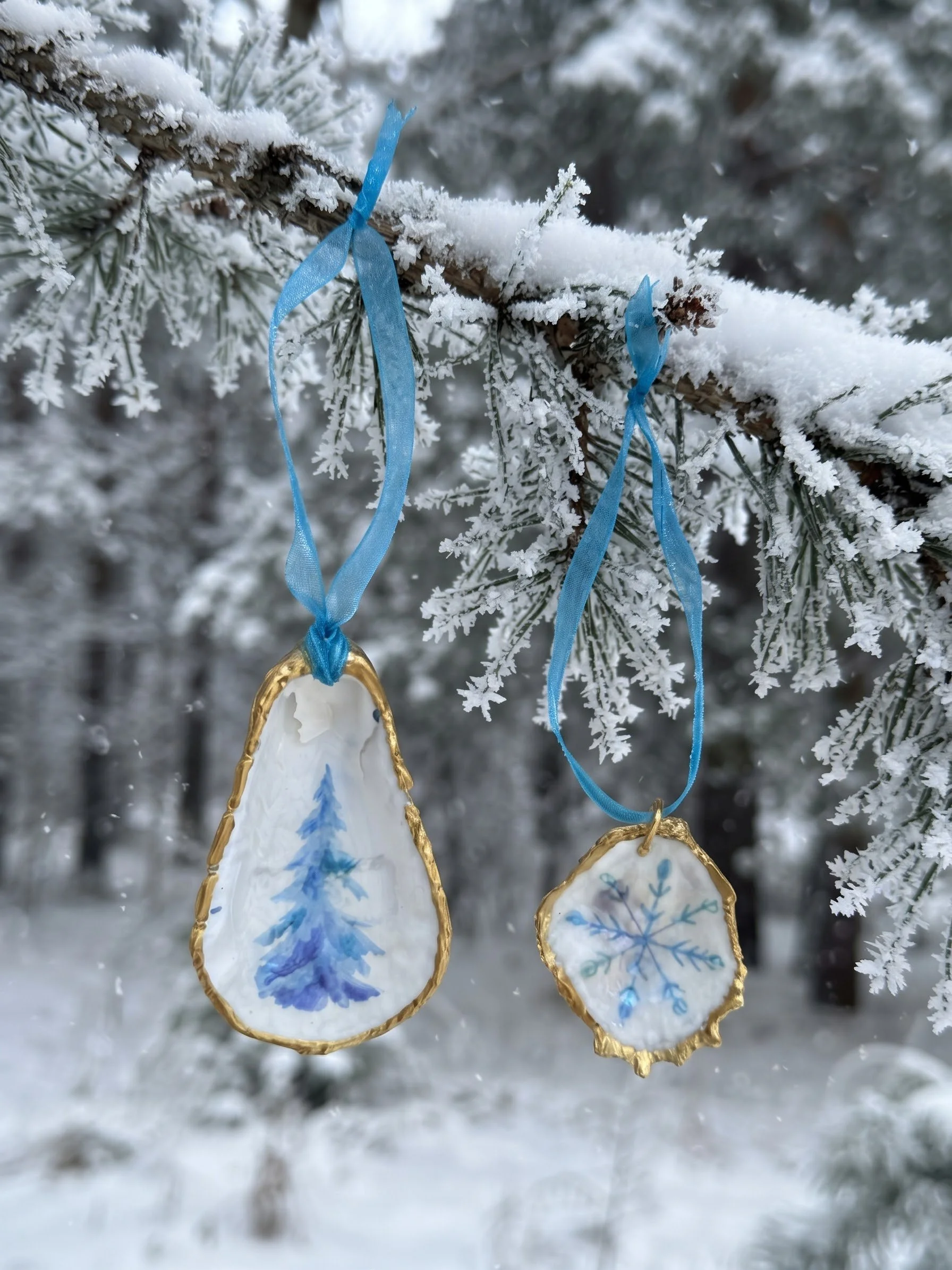 Set of Natural Oyster Shell Ornaments
