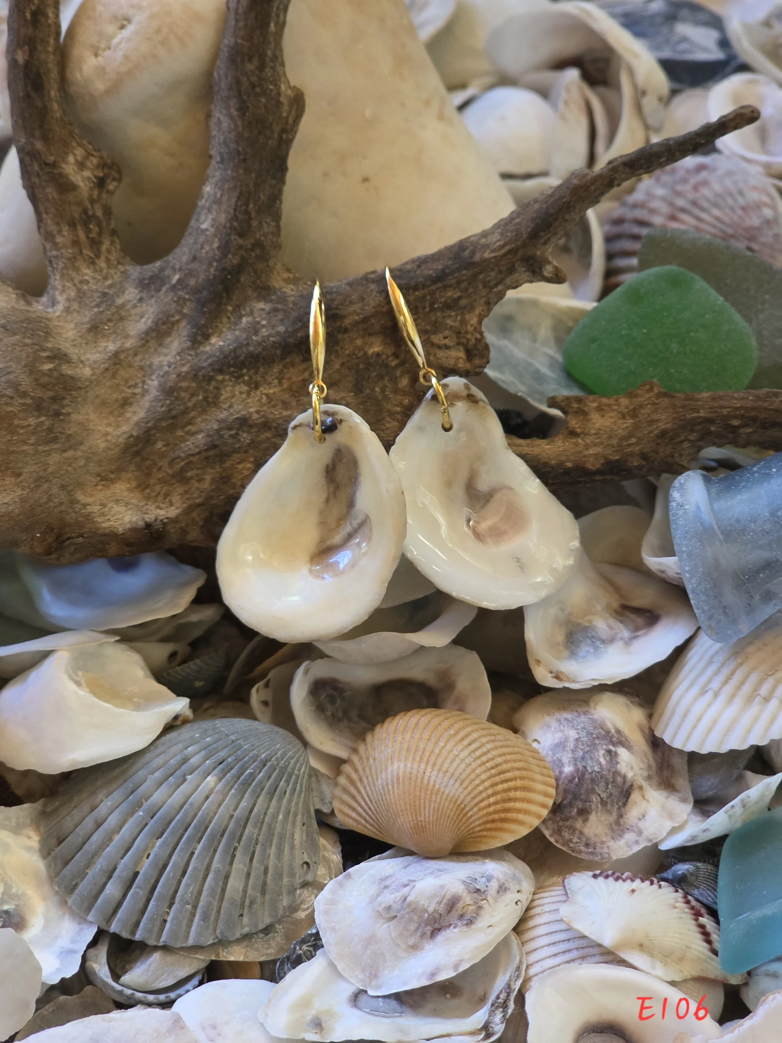Natural Oyster Shell Earrings