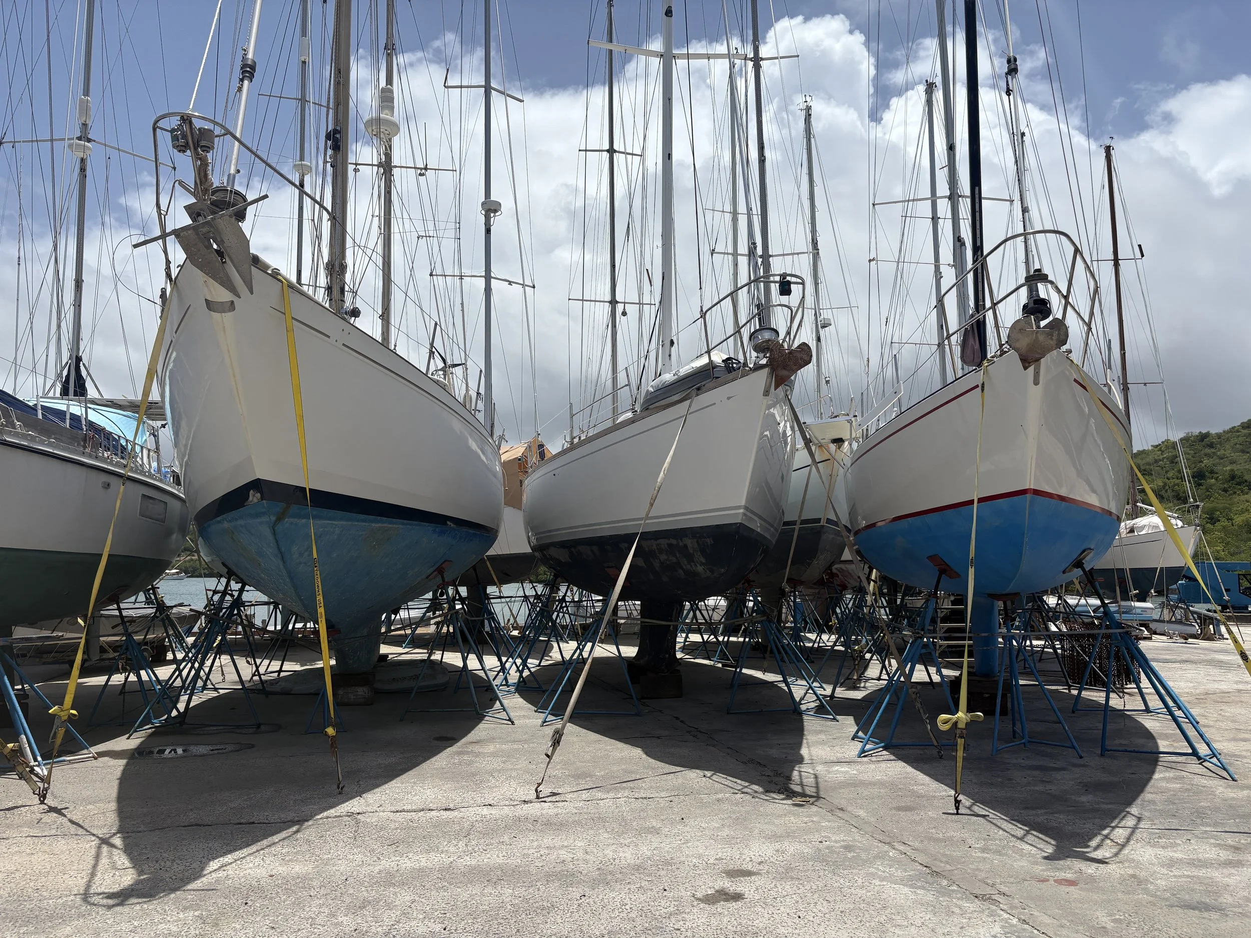IMG_3403.jpeg