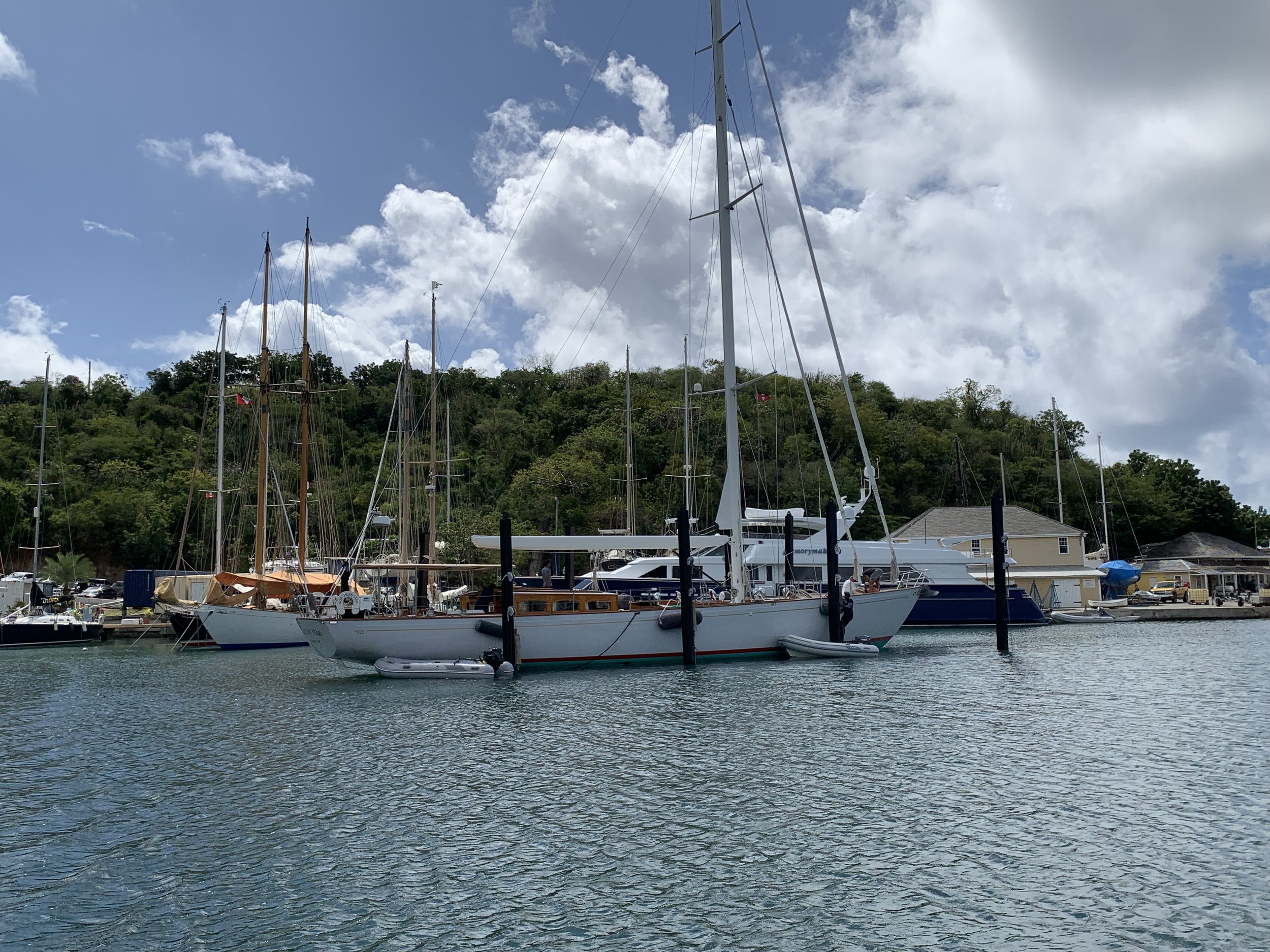 IMG_1041.jpeg