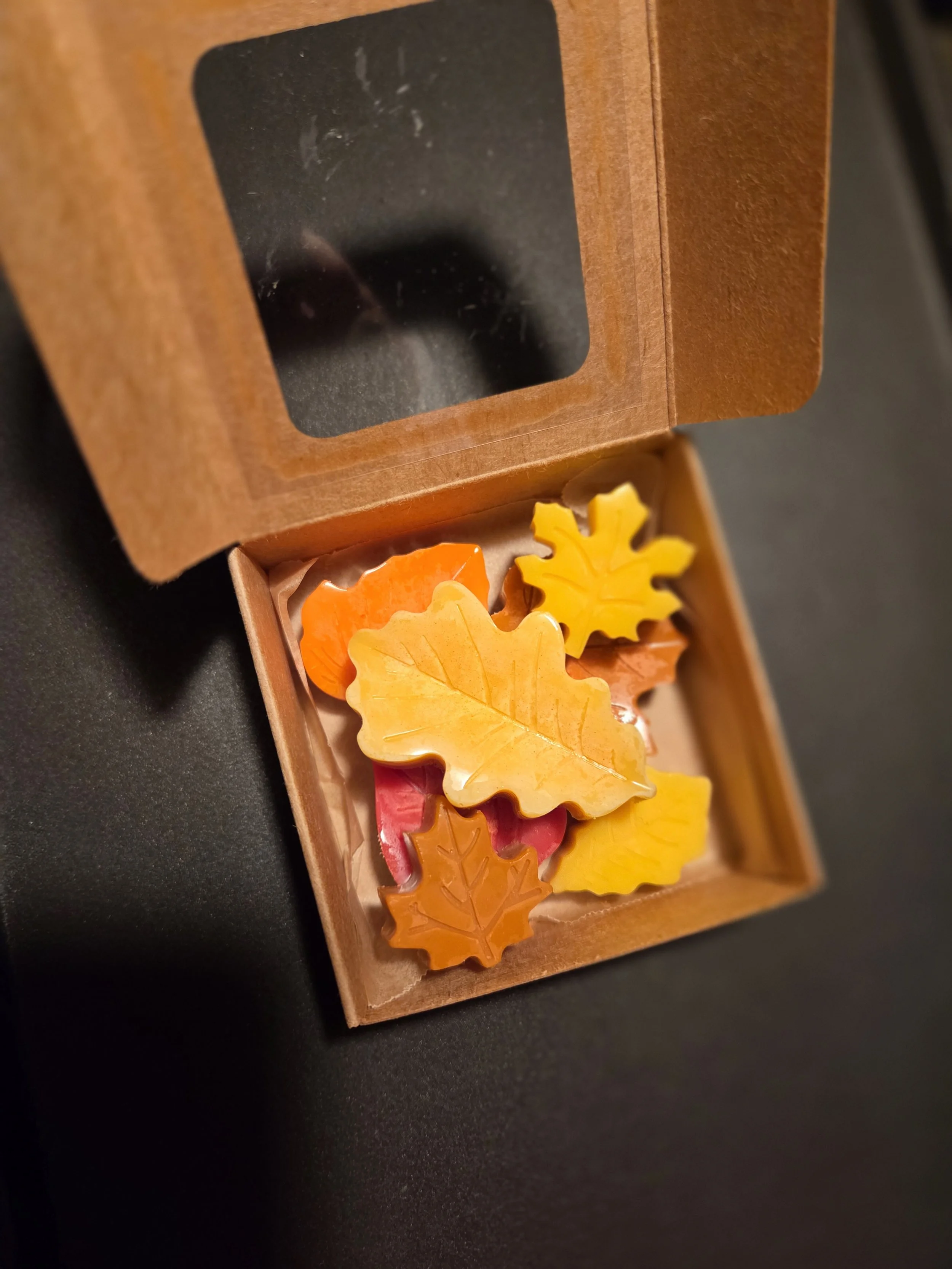 Autumn's Leaves