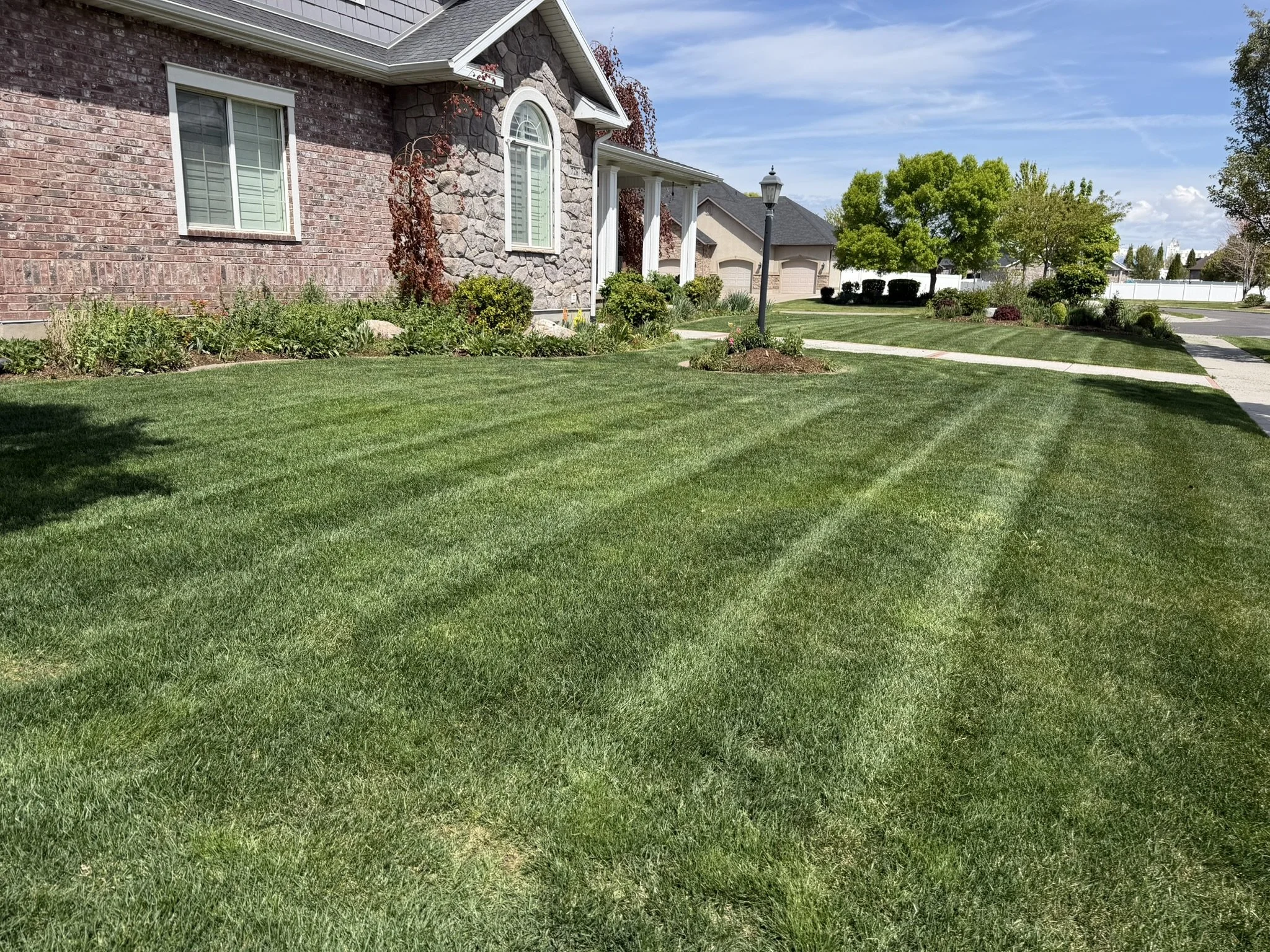 Well-maintained residential lawn after mowing service