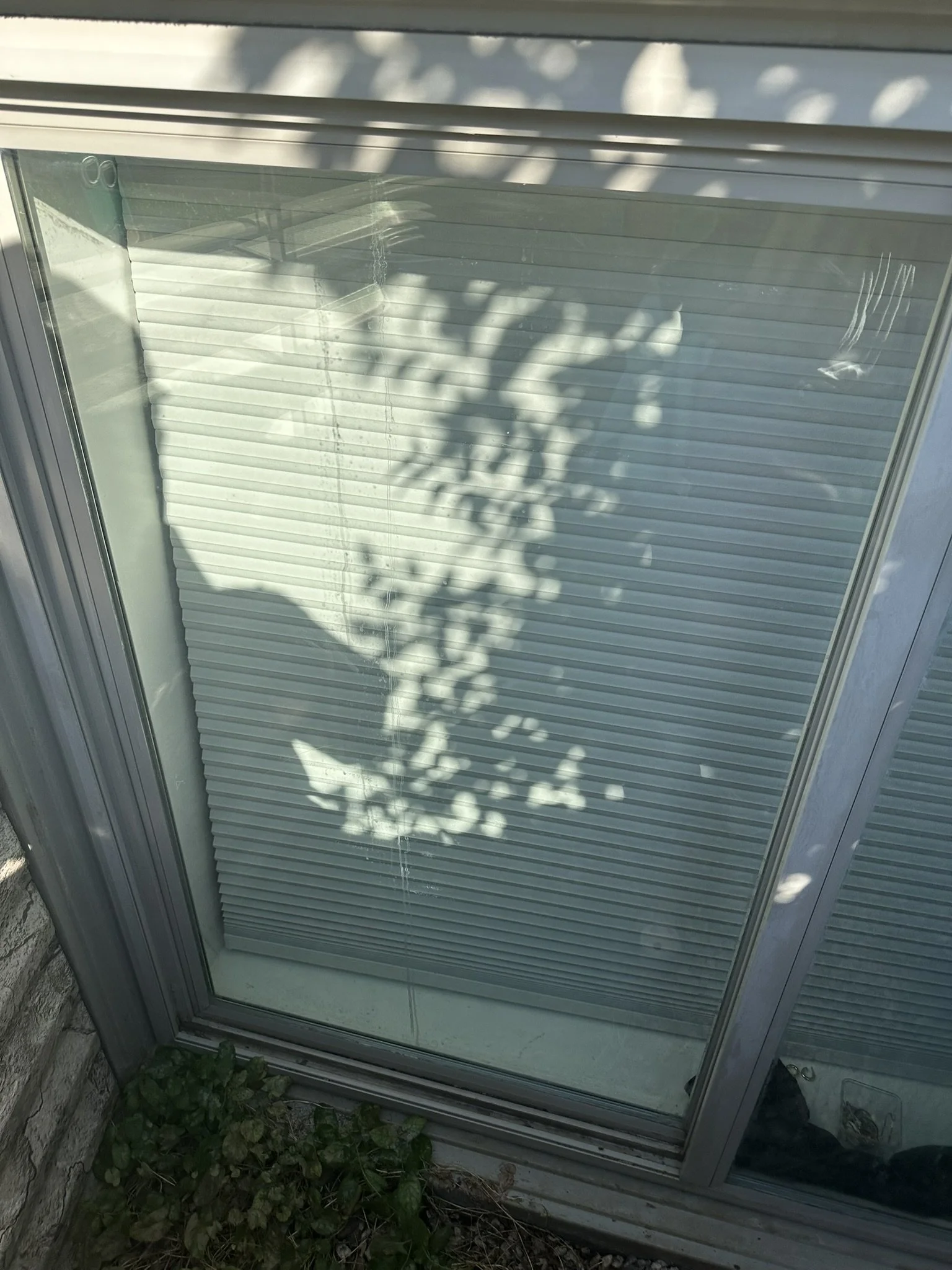 Exterior glass door after professional window washing