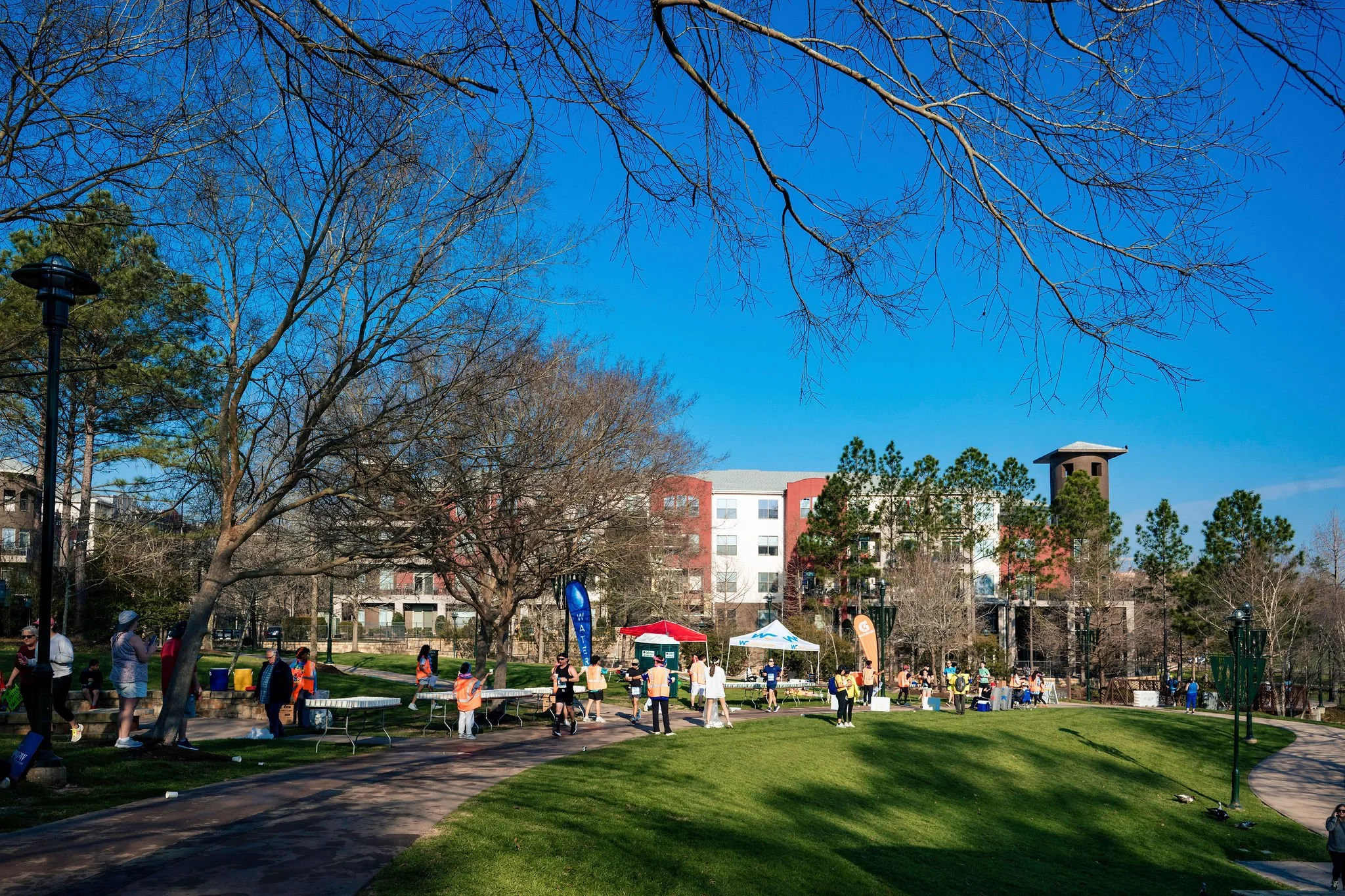 DSC_6175.jpg