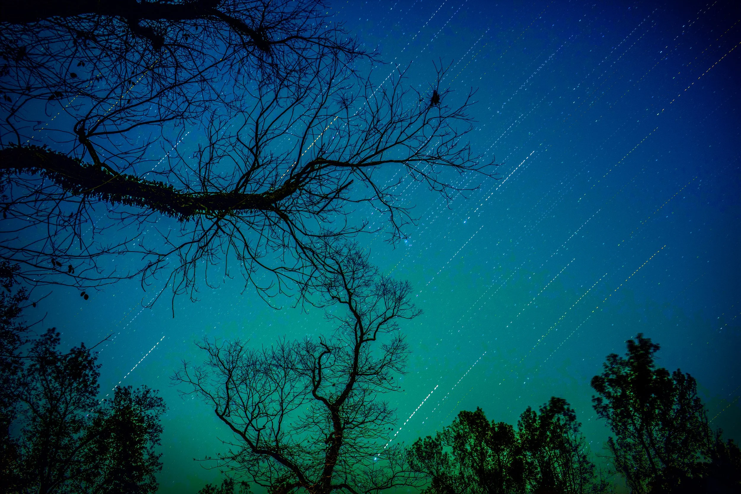 Startrails-web.jpg