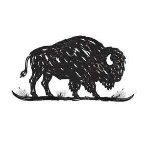 The Wild Bison - Metal Art Co.