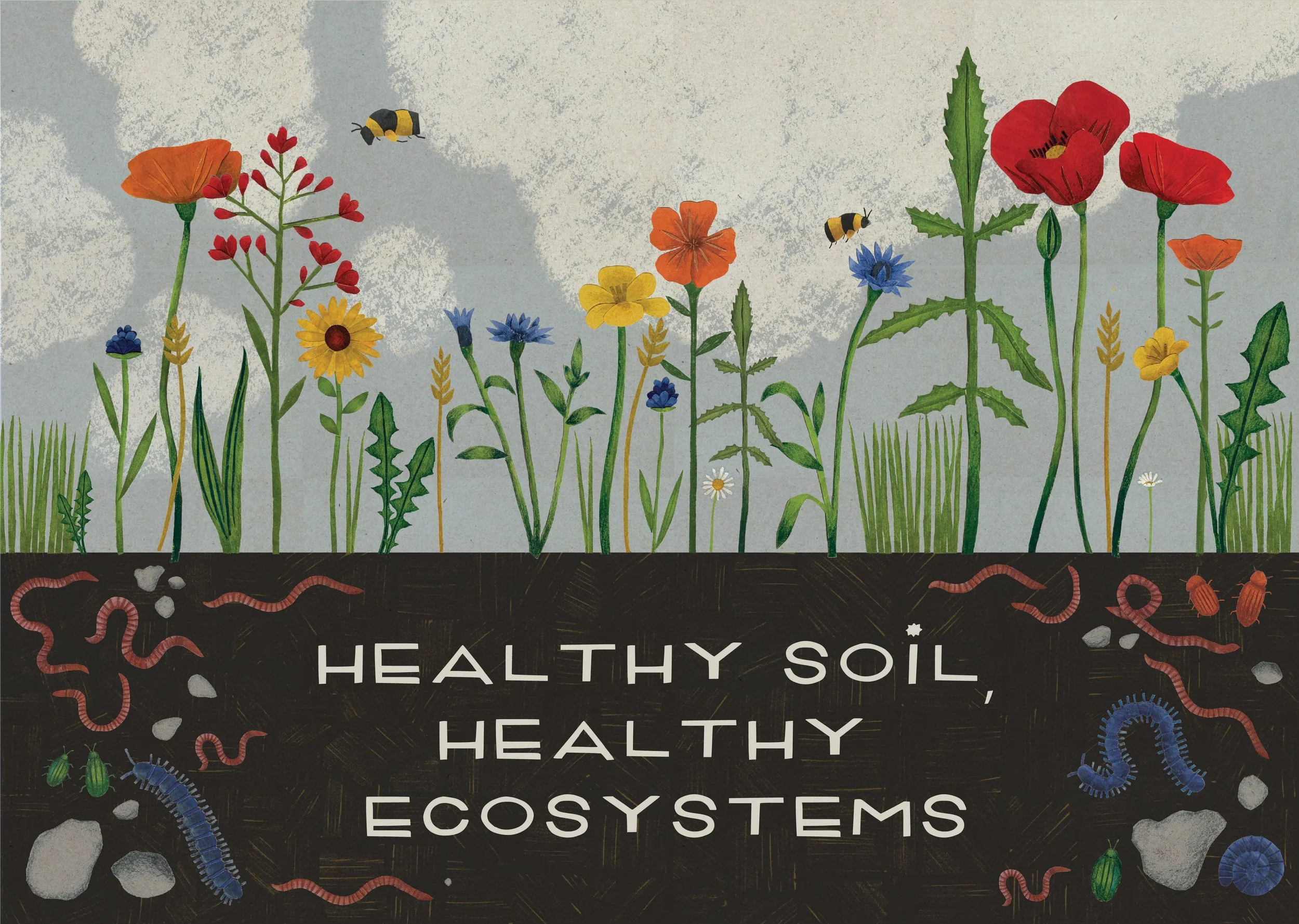 Healthy Soil copy.jpg