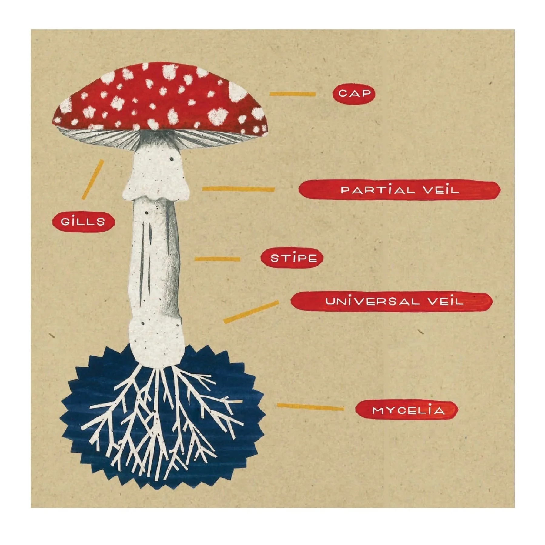 Untitled_Artwork+5+copy+2.jpg
