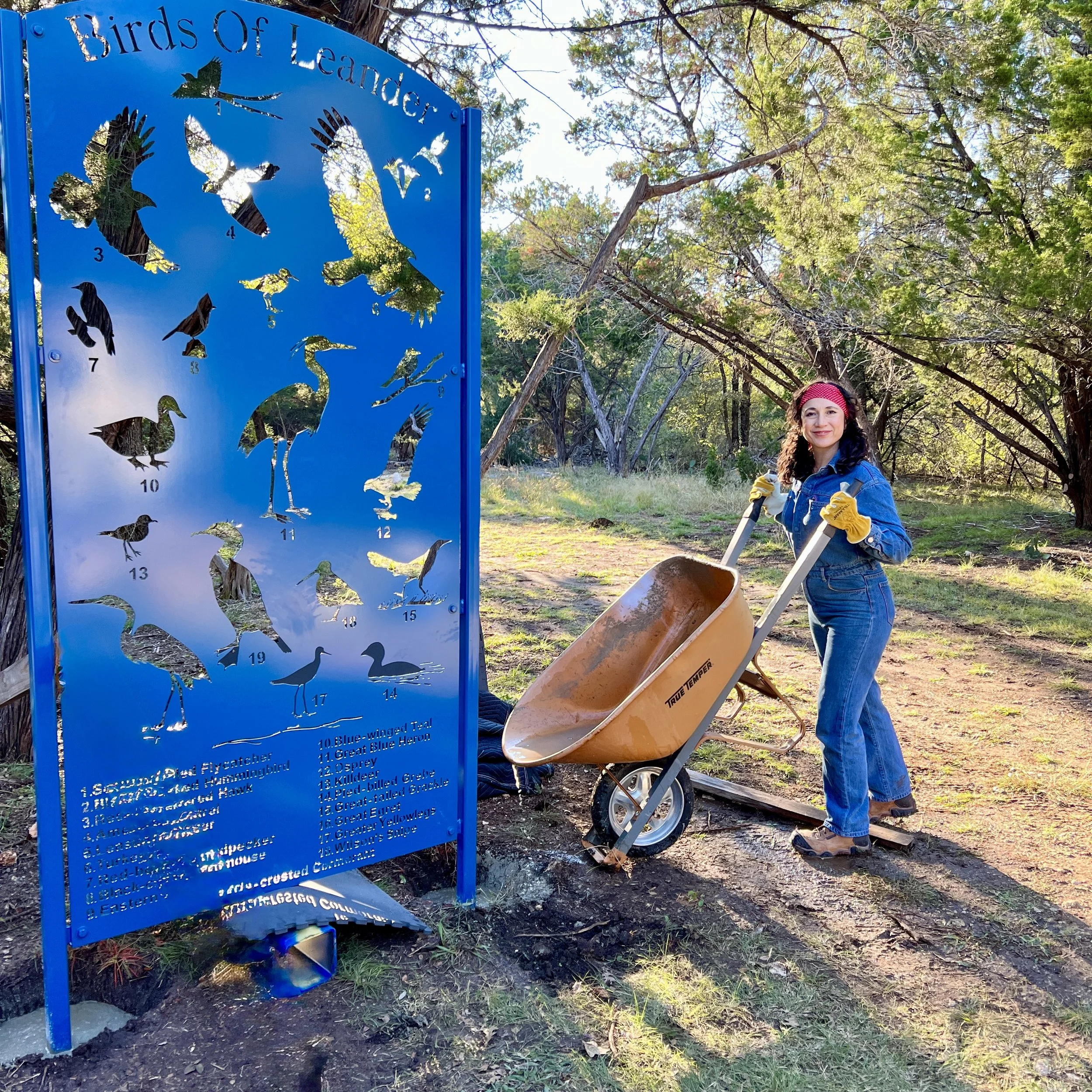 Birds Of Leander Public Art