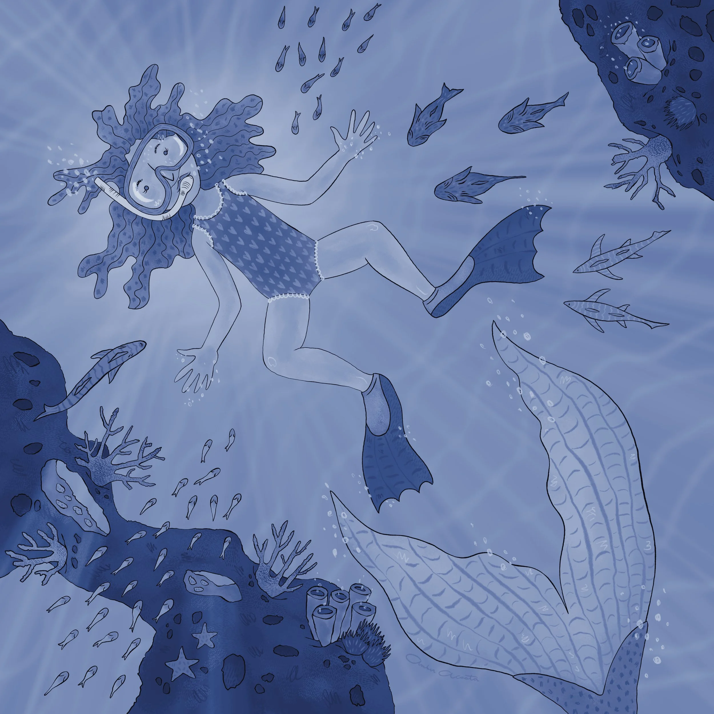 In shades of blue, a young girl snorkels among fish with sunlight shining through the water behind her, as a big tail curls away below, its hidden owner seeming to look up at her. Could it be a mermaid? Illustration by Amber Acosta.