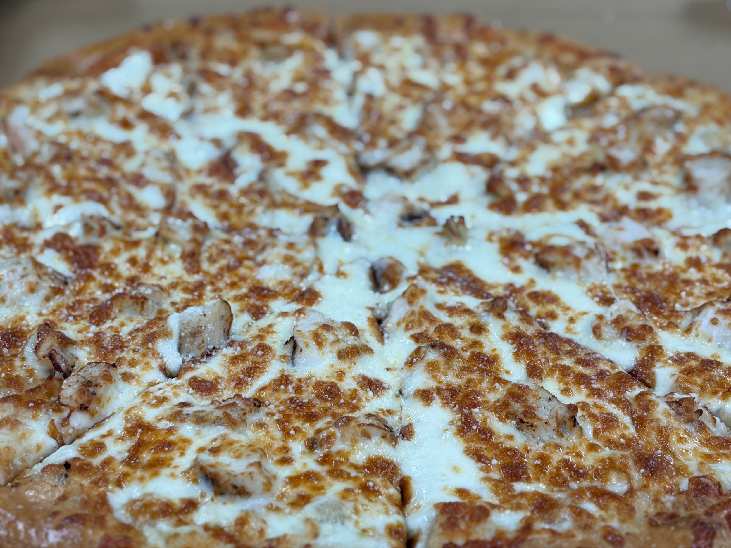 Close-up of a cheese pizza with melted cheese and toppings.