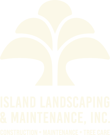 Island Landscaping & Maintenance, Inc. logo: landscape construction, maintenance and tree care on Oahu