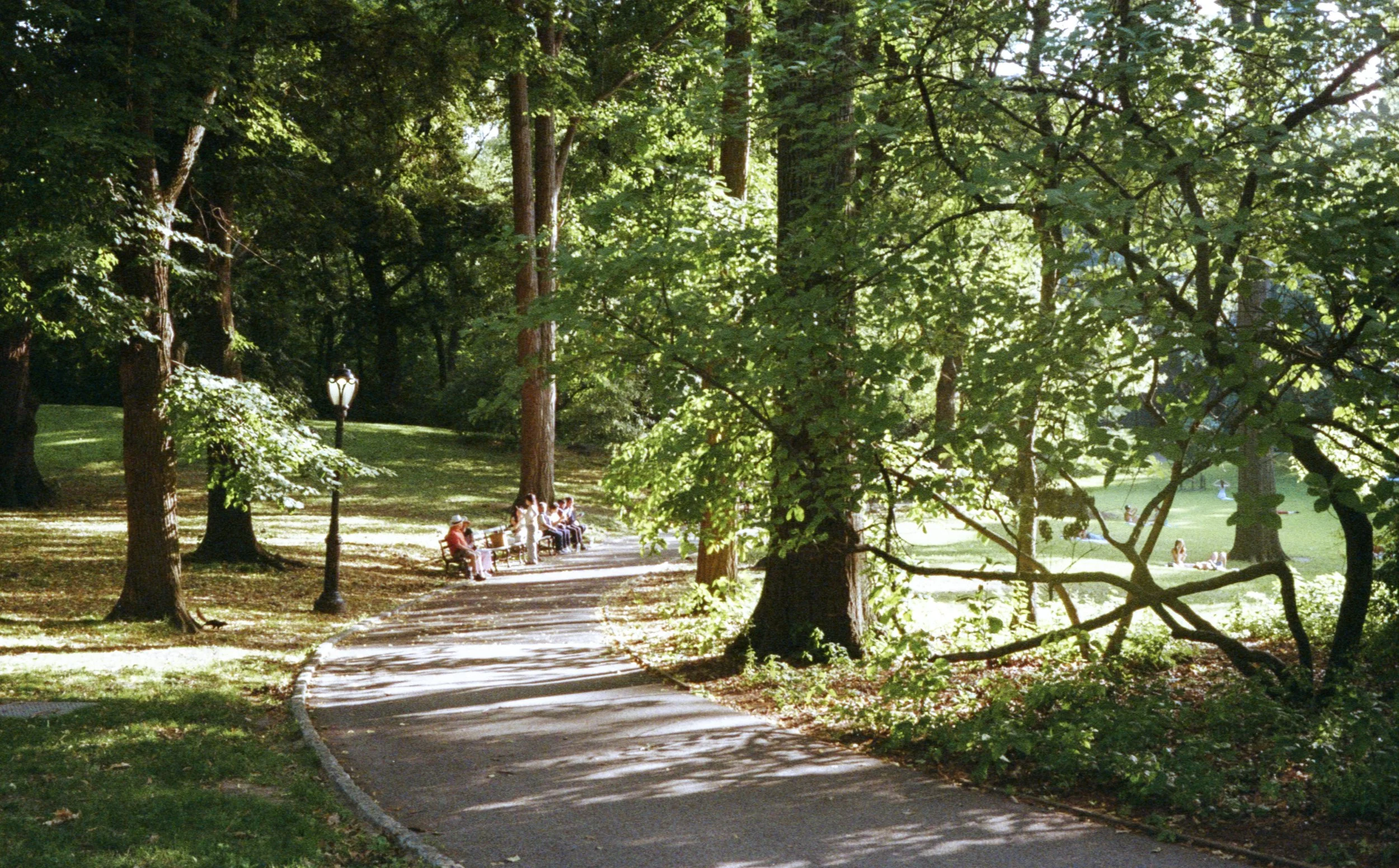img138.jpg