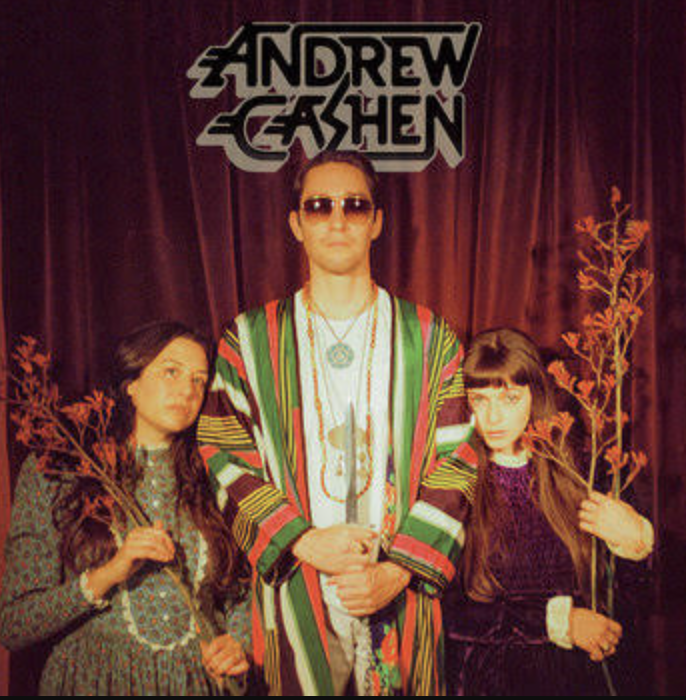 Keyboardist on  Andrew Cashen's The Cosmic Silence album