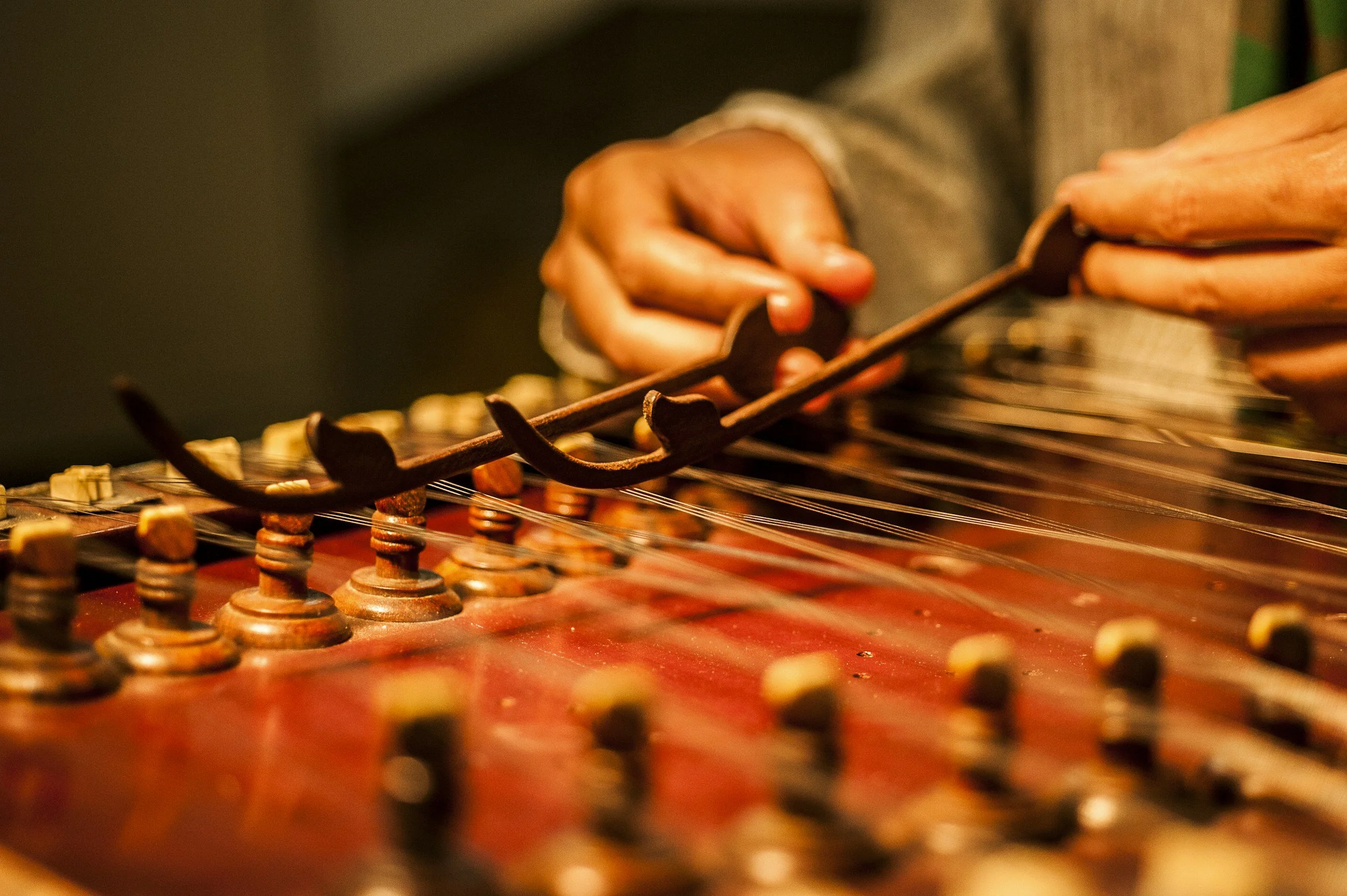 Close-up of a person’s hand playing a stringed musical instrument, focusing on the hand and strings.