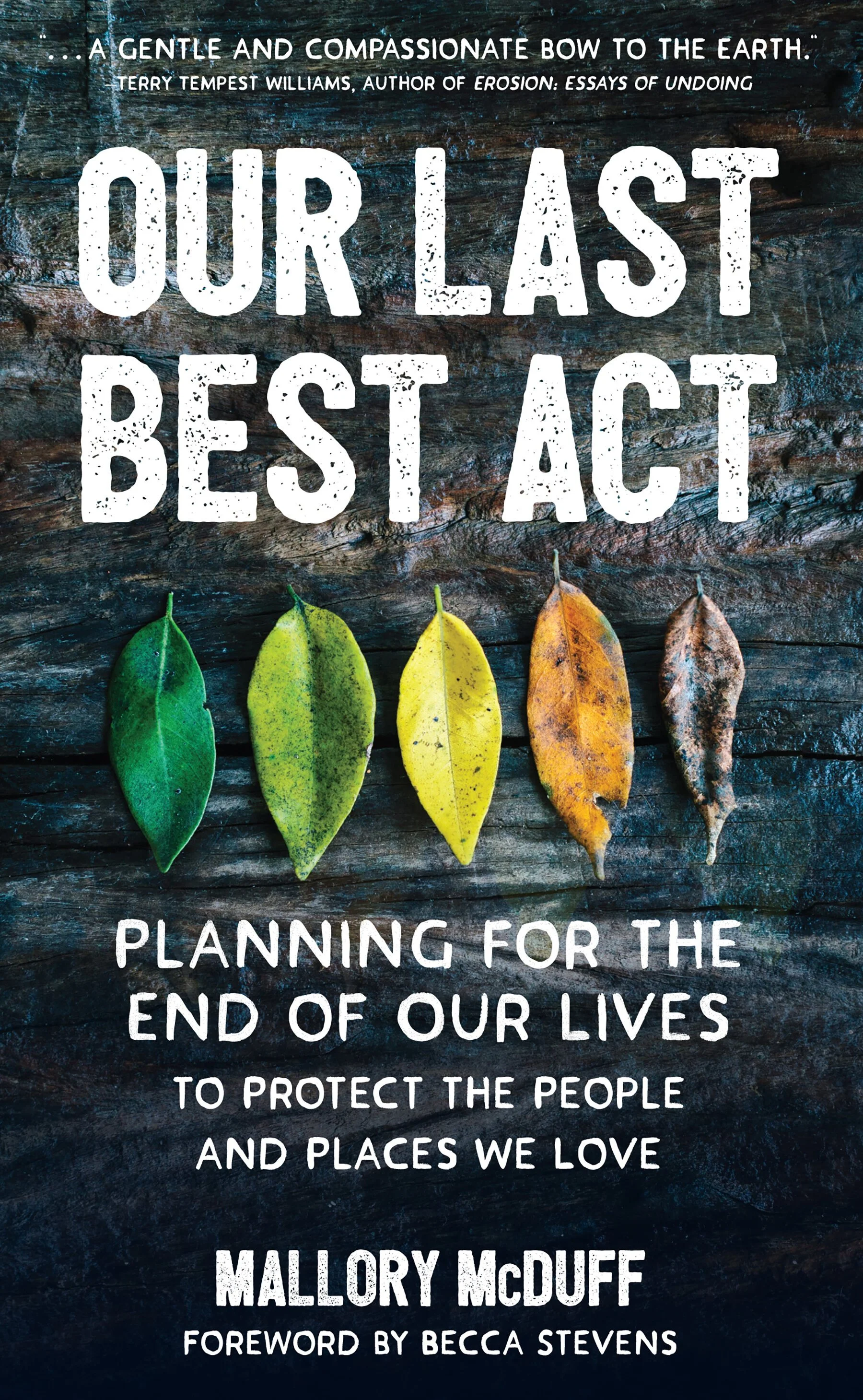 LastBestAct_FinalCover.jpeg